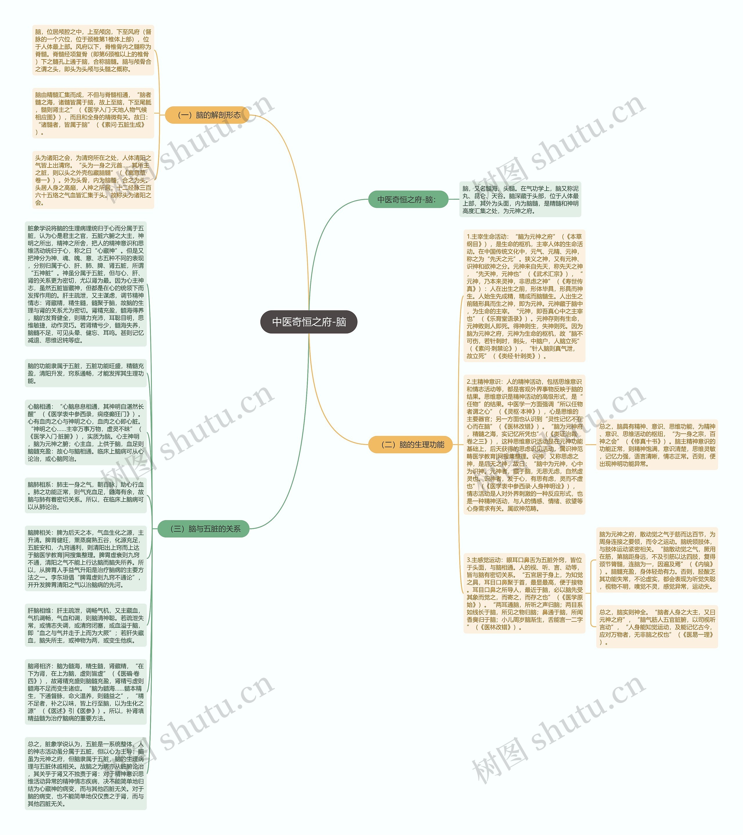 中医奇恒之府-脑思维导图