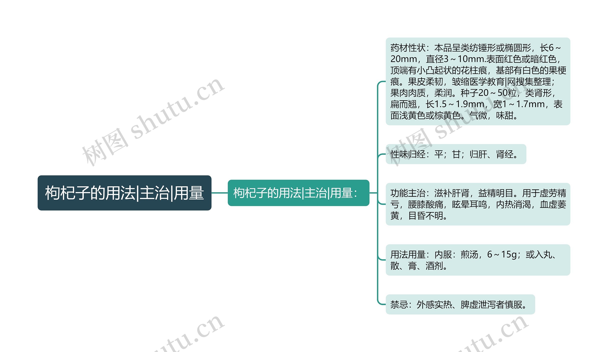 枸杞子的用法|主治|用量思维导图