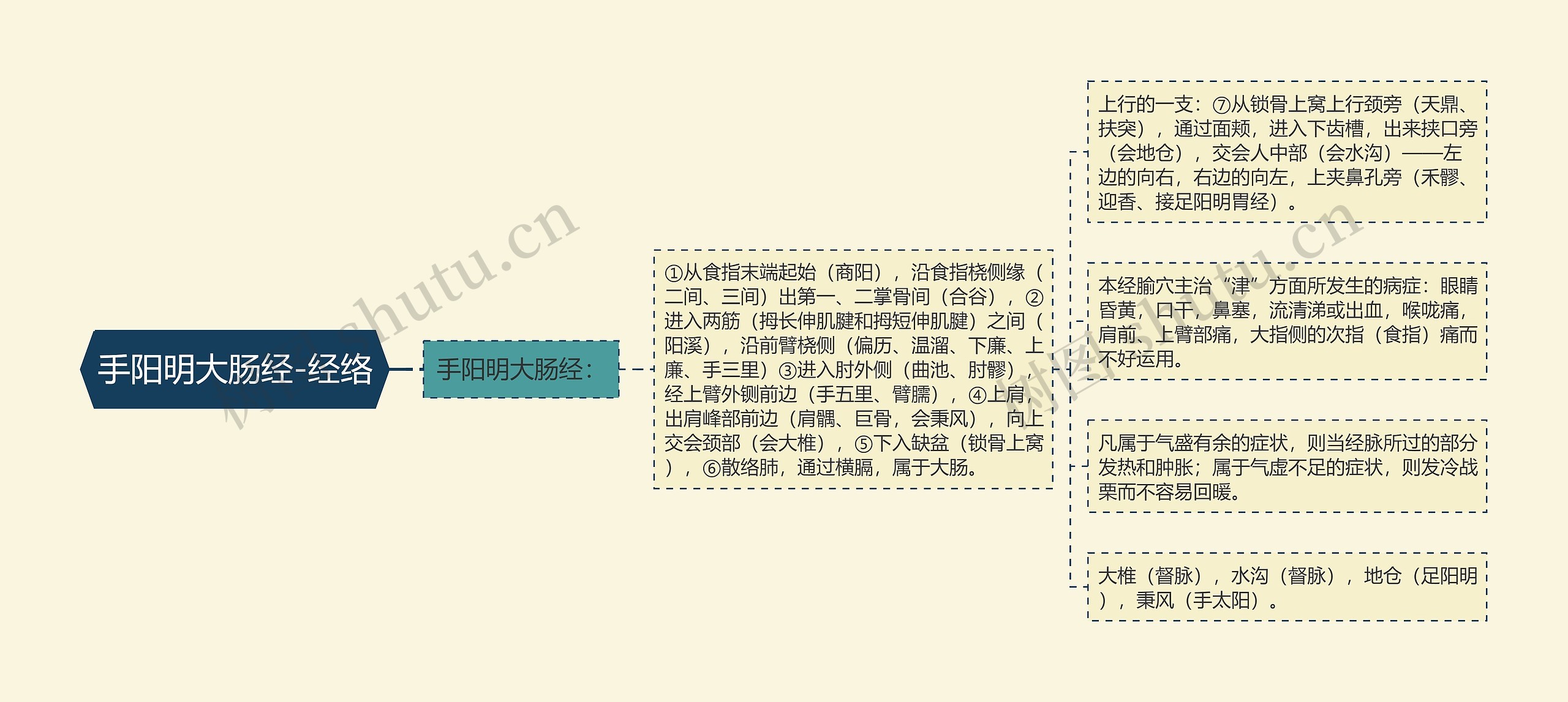 手阳明大肠经-经络思维导图