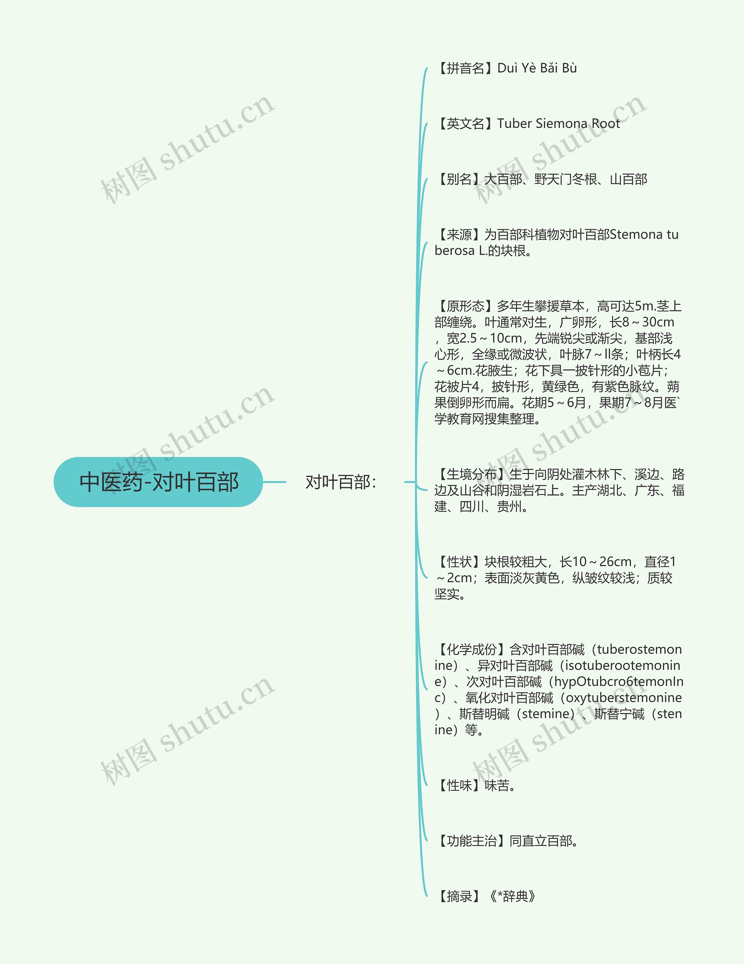 中医药-对叶百部思维导图