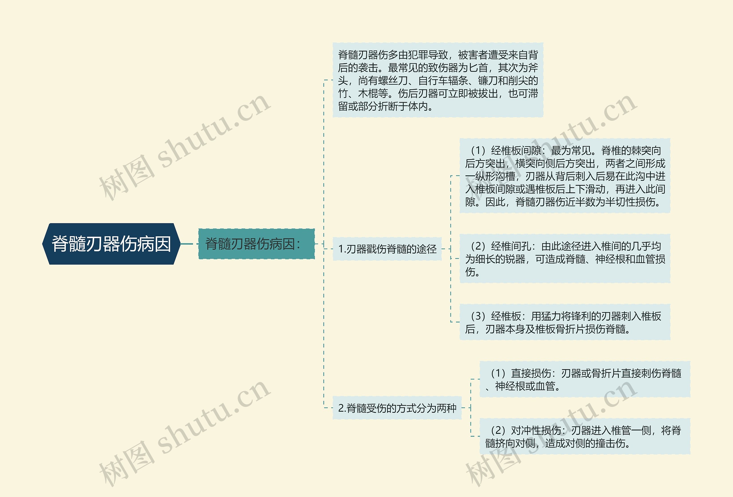 脊髓刃器伤病因思维导图