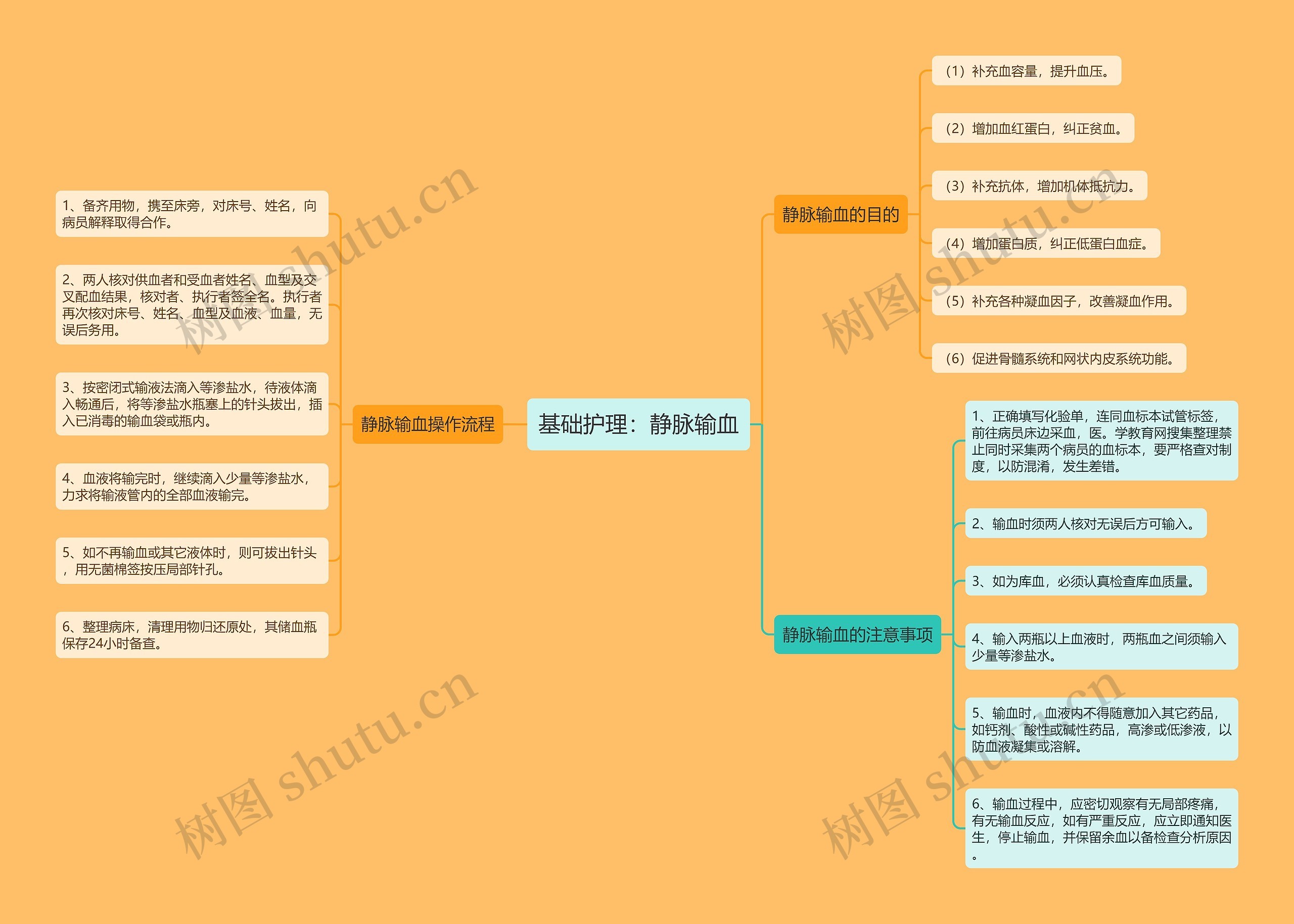 基础护理:静脉输血 基础护理:静脉输血