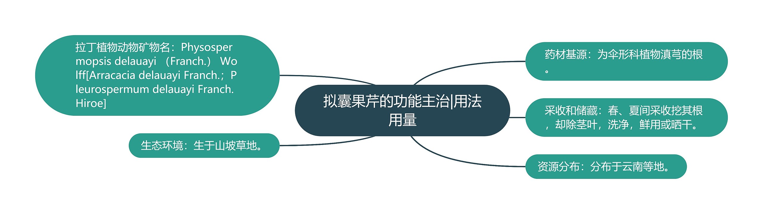 拟囊果芹的功能主治|用法用量 拟囊果芹的功能主治|用法用量