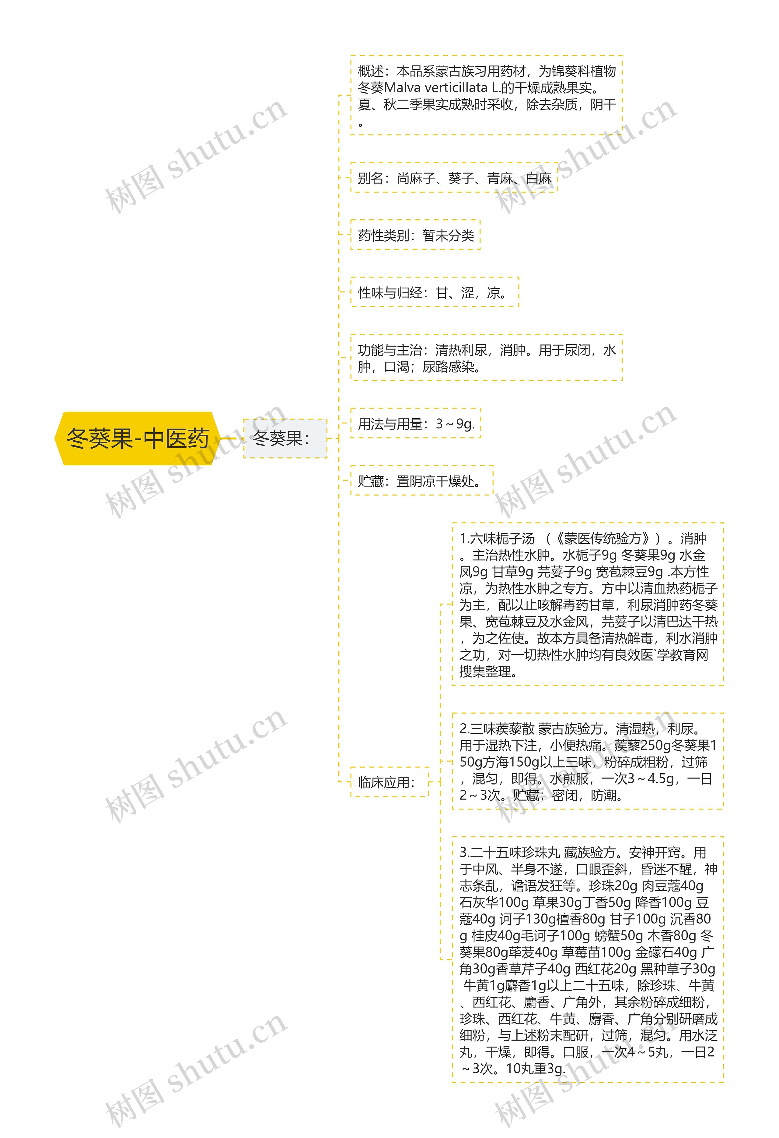 冬葵果-中医药思维导图