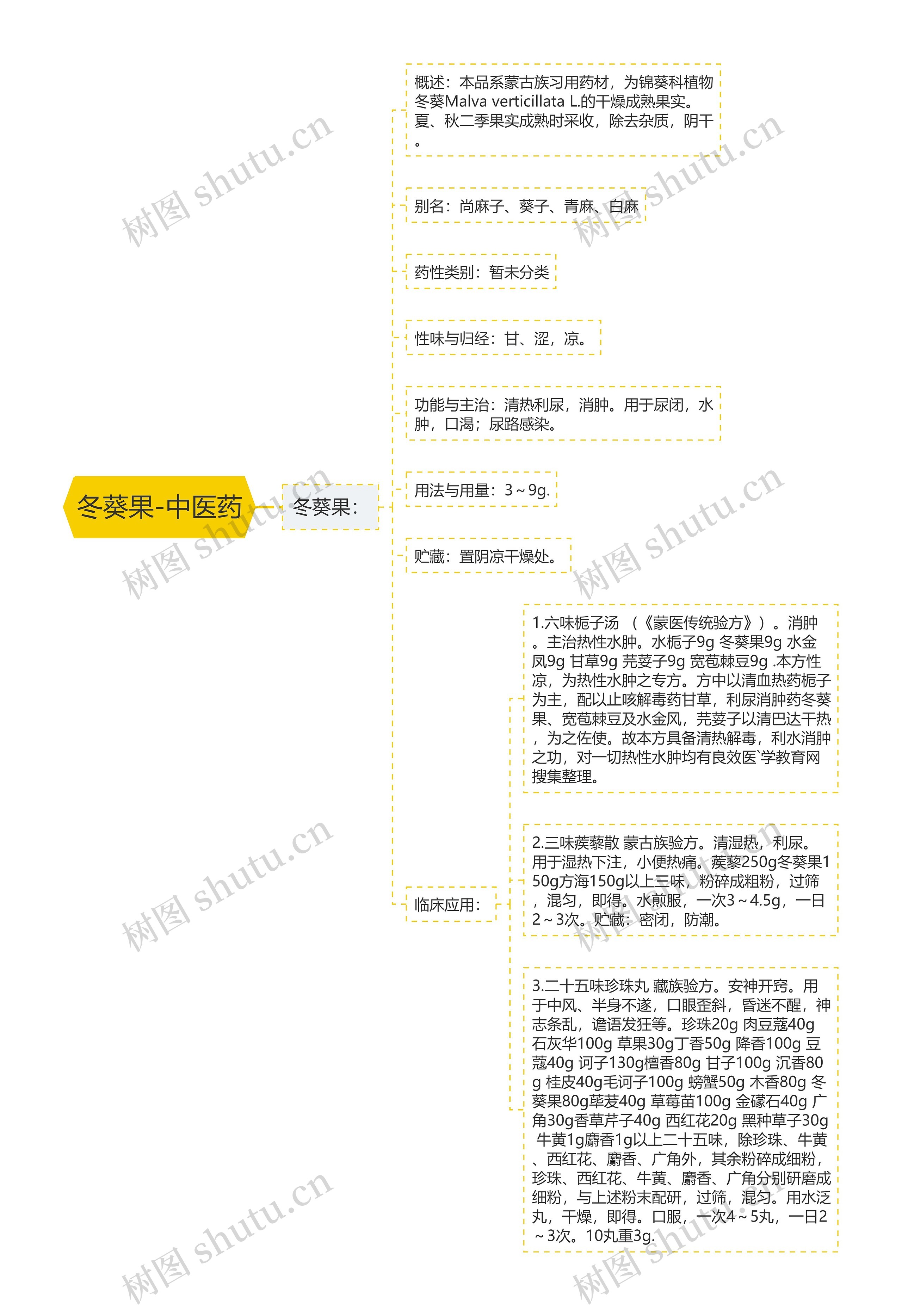 冬葵果-中医药 冬葵果-中医药