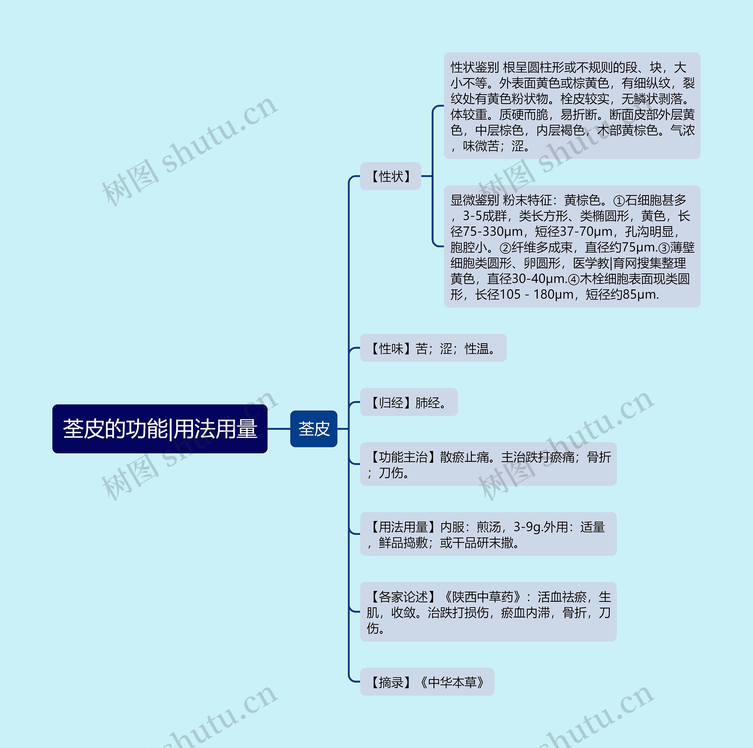 荃皮的功能|用法用量思维导图