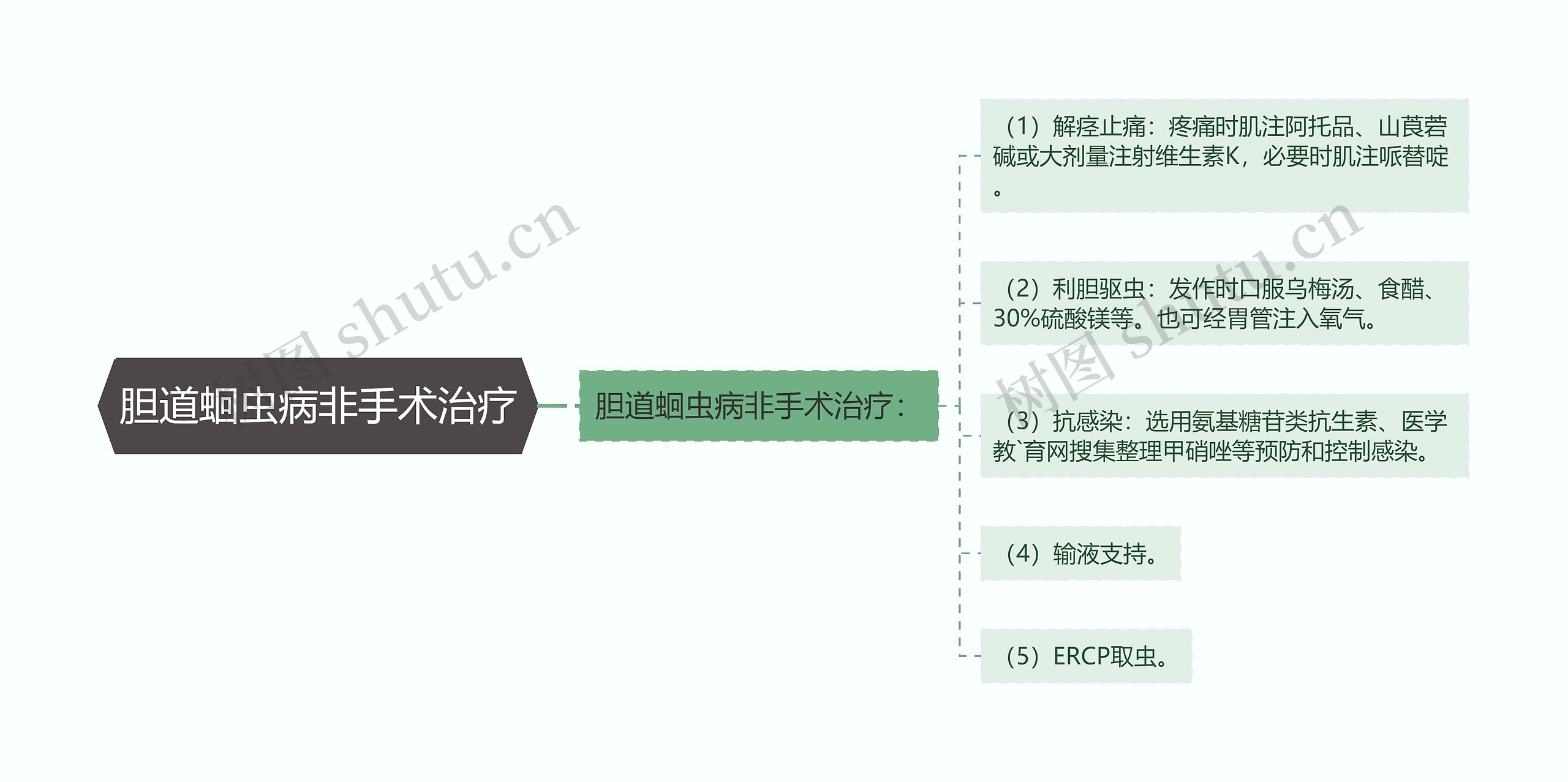 胆道蛔虫病非手术治疗思维导图