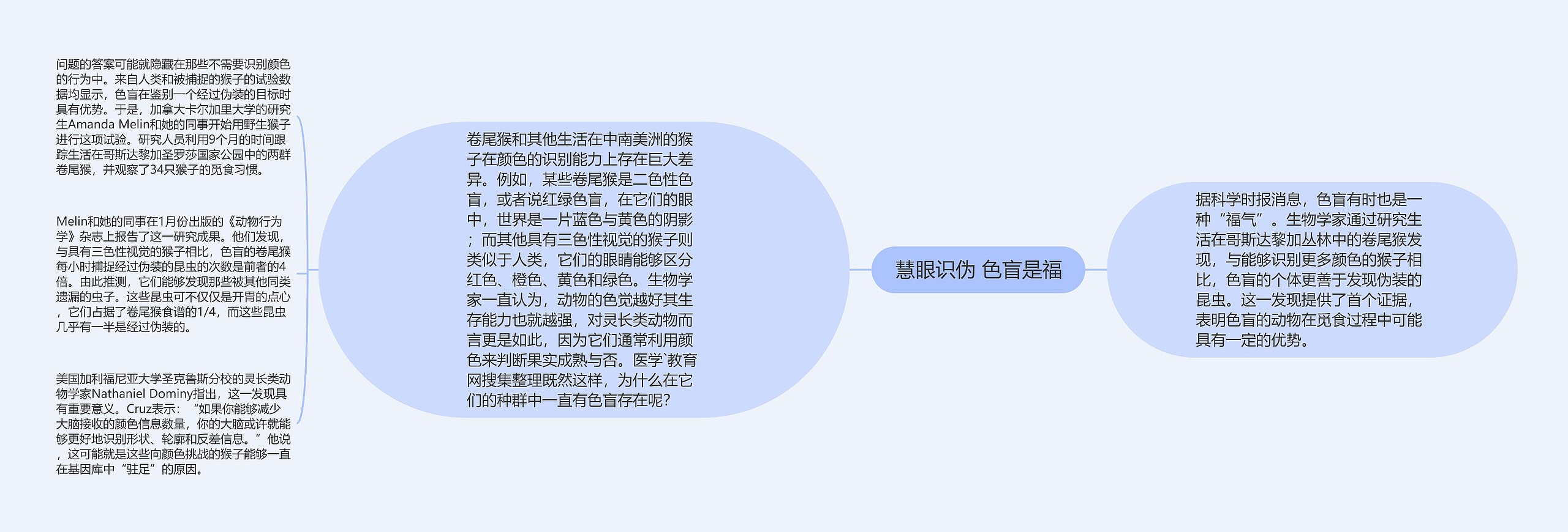 慧眼识伪 色盲是福思维导图