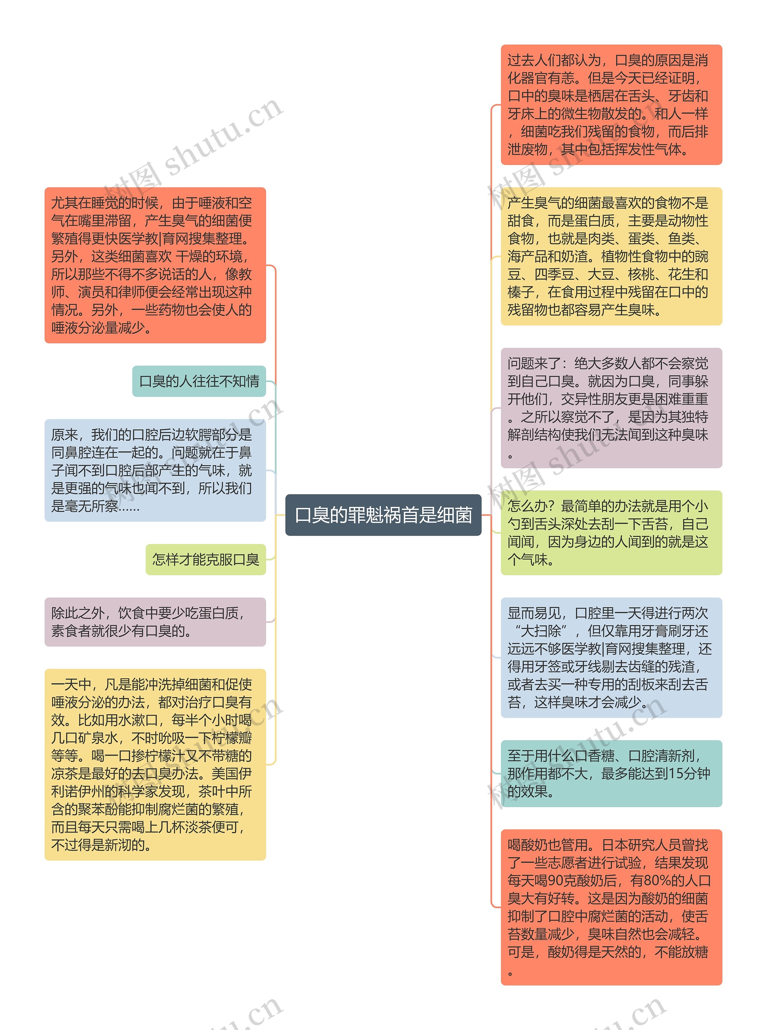 口臭的罪魁祸首是细菌思维导图