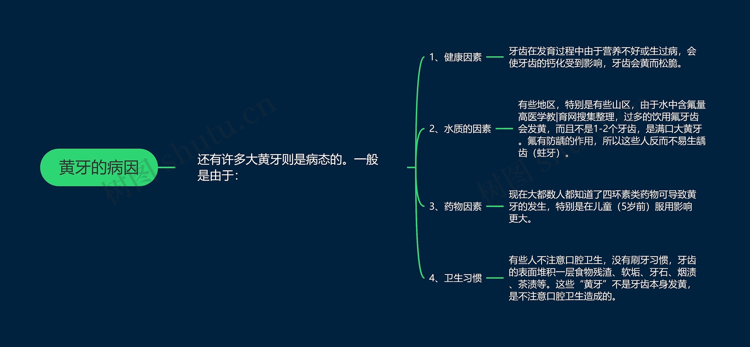 关于牙齿的思维导图图片