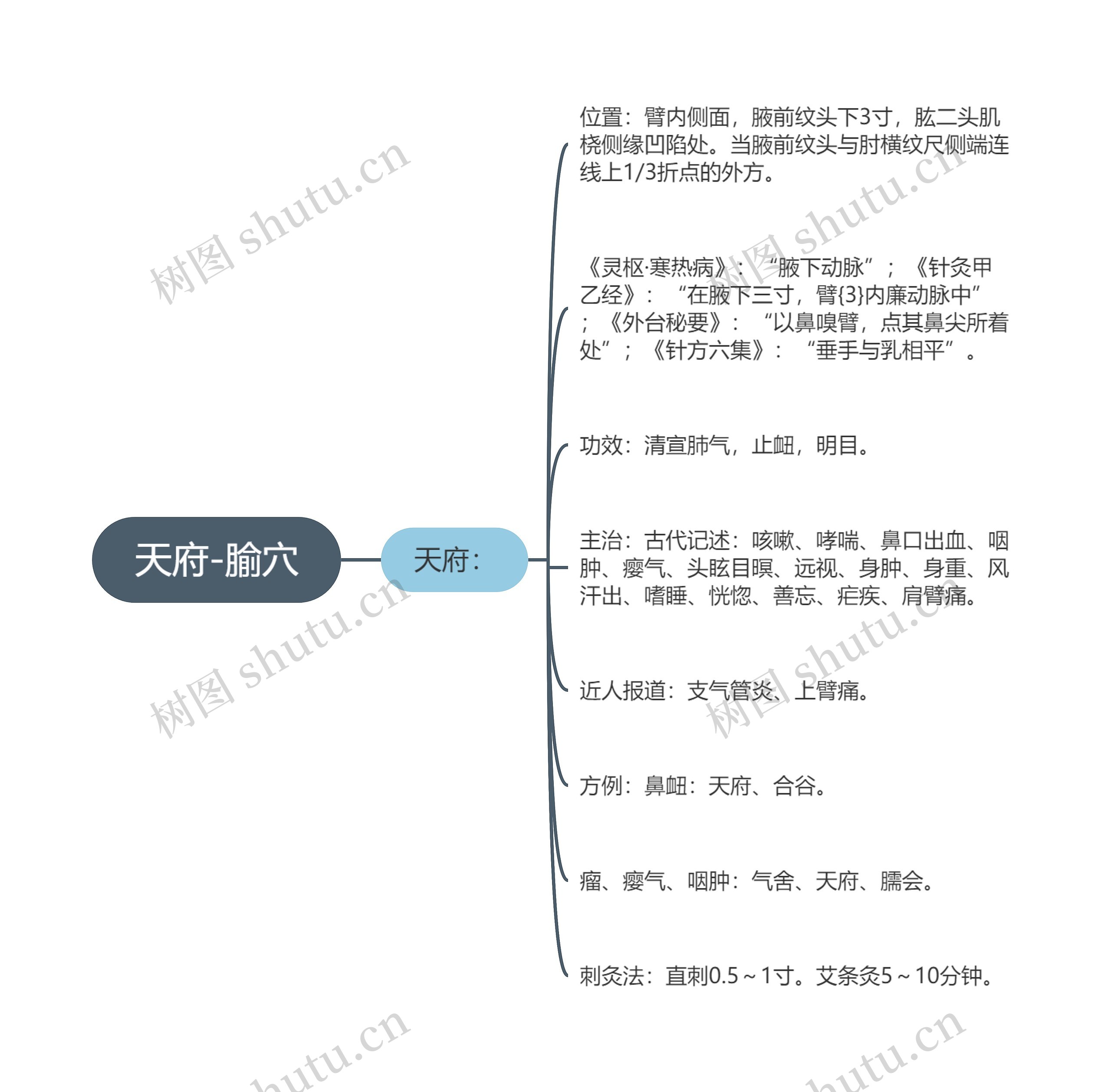 天府-腧穴思维导图