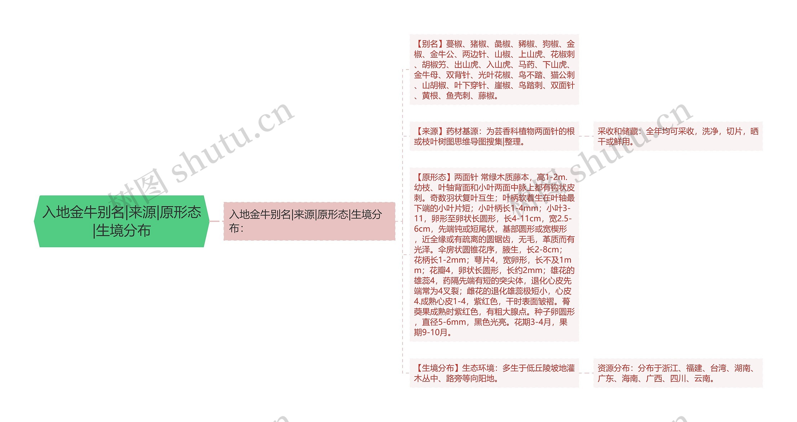 入地金牛别名|来源|原形态|生境分布思维导图