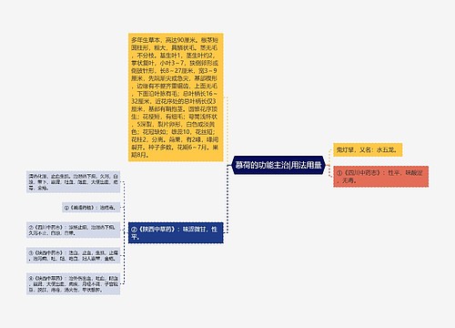 慕荷的功能主治|用法用量