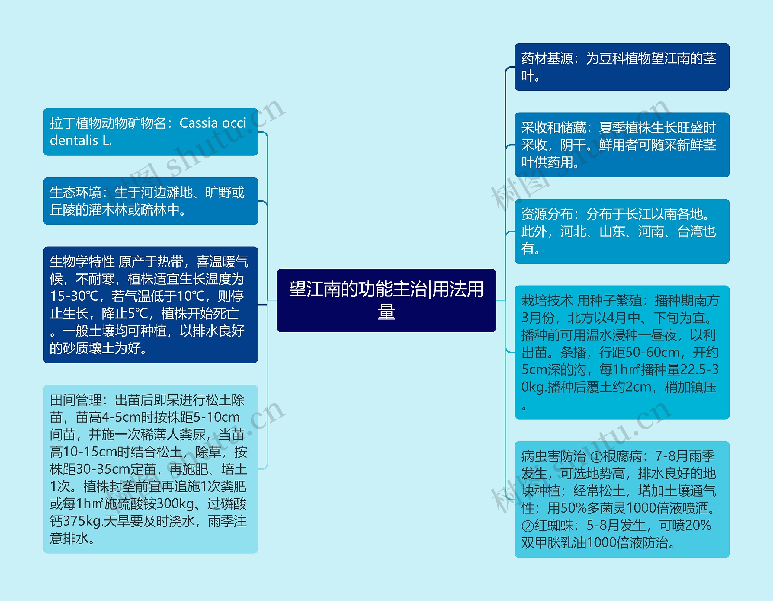 望江南的功能主治|用法用量思维导图