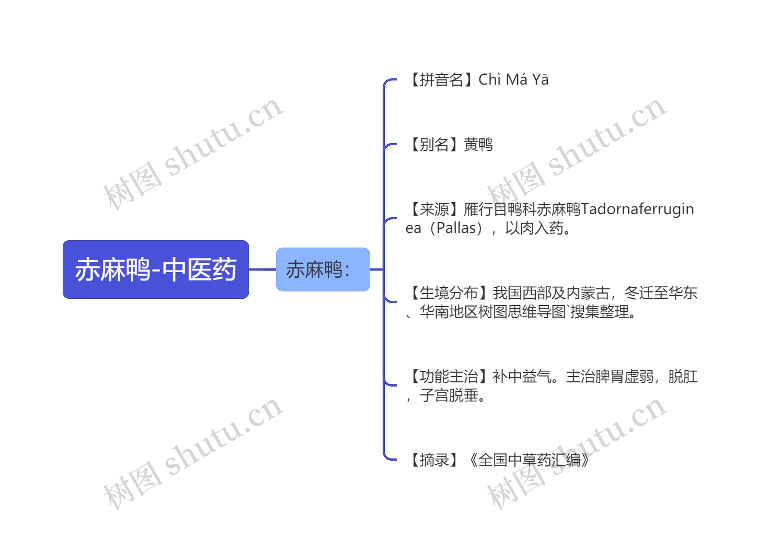 赤麻鸭-中医药 赤麻鸭-中医药