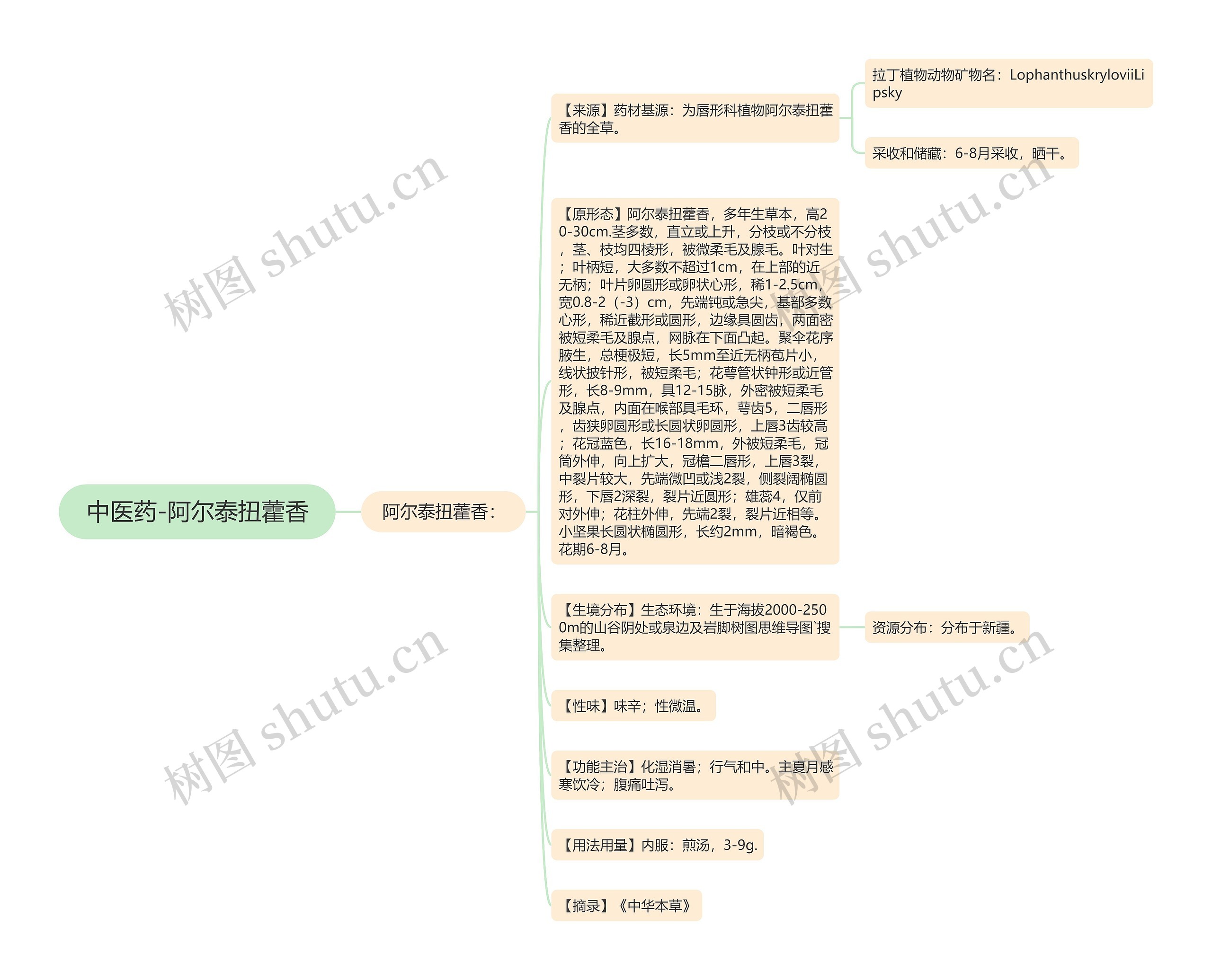 中医药-阿尔泰扭藿香 中医药-阿尔泰扭藿香