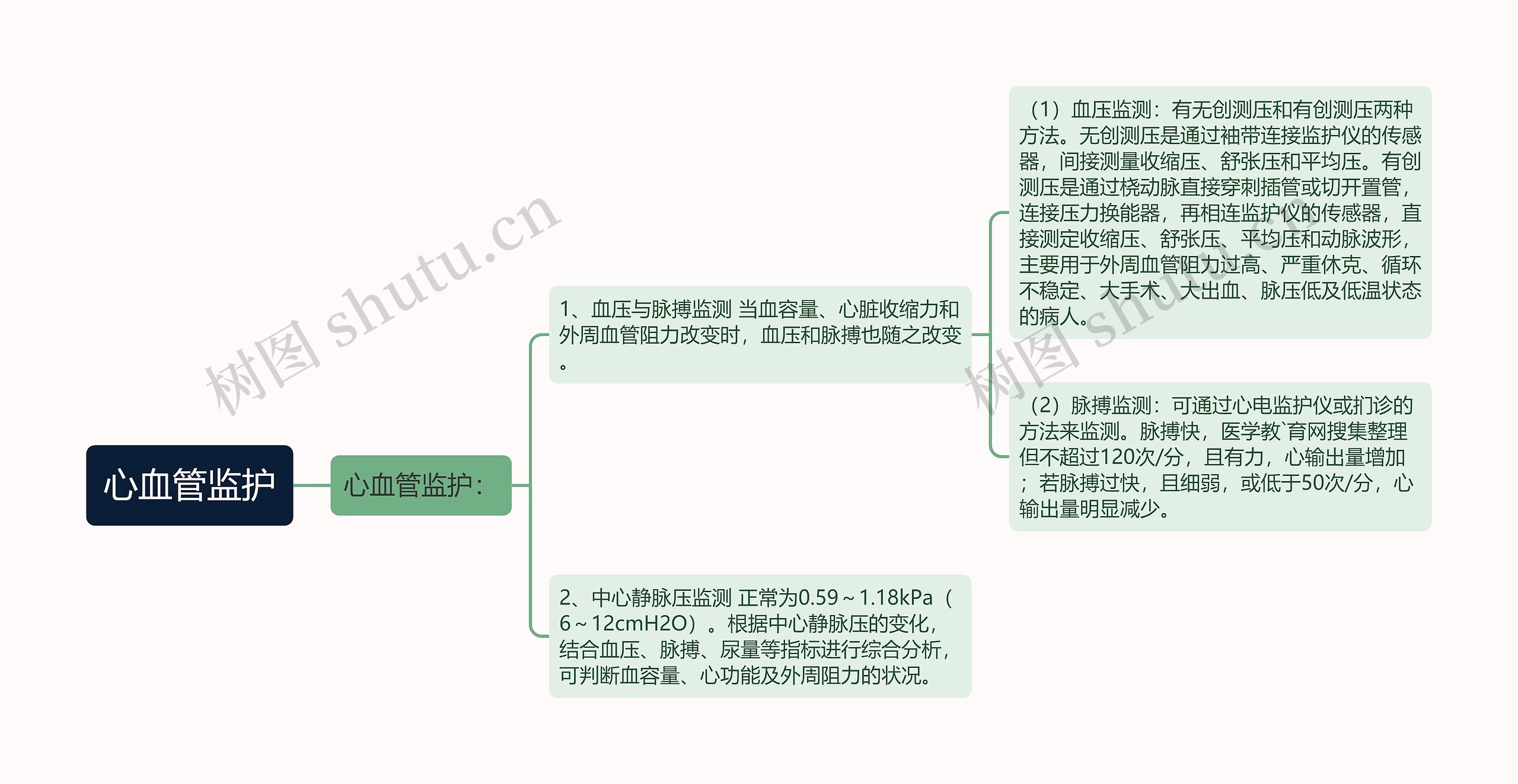 心血管监护