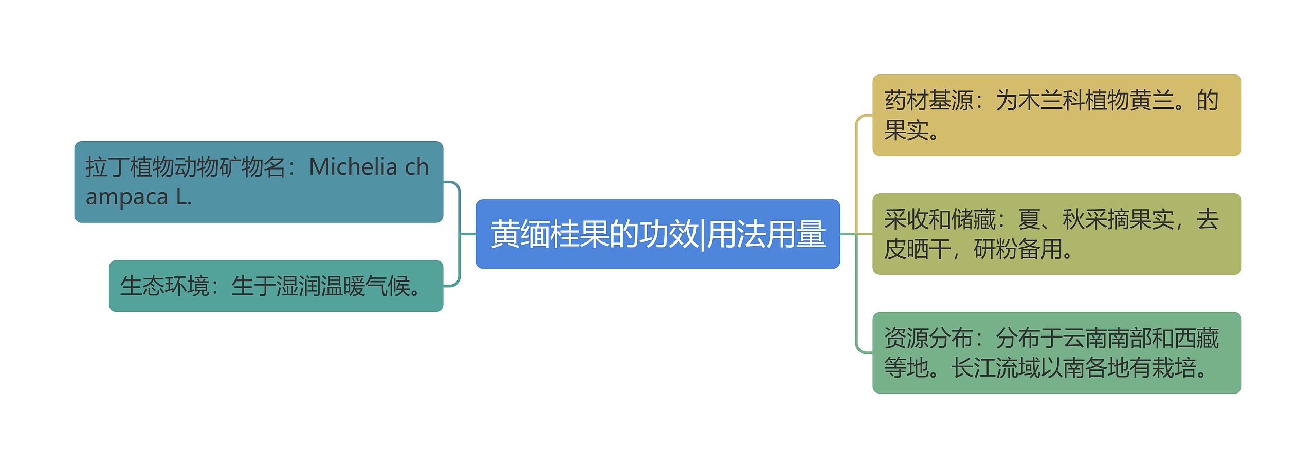黄缅桂果的功效|用法用量 黄缅桂果的功效|用法用量
