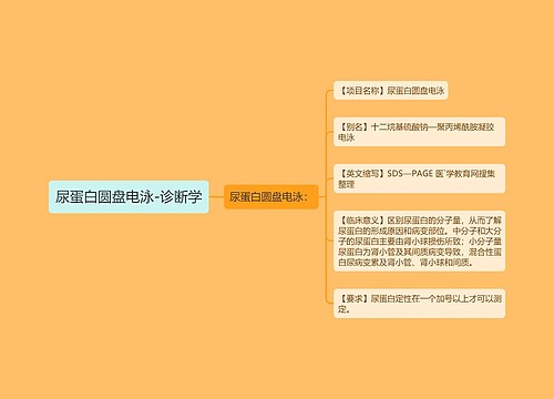 尿蛋白圆盘电泳-诊断学