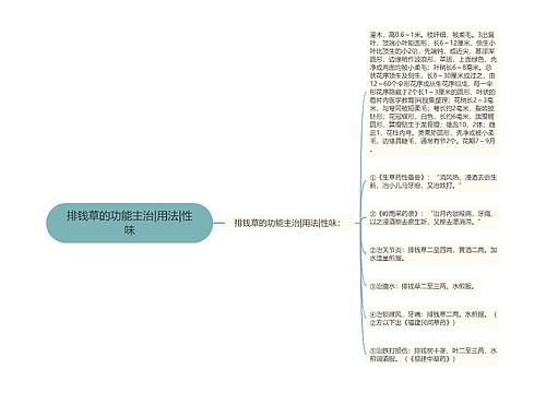 排钱草的功能主治|用法|性味