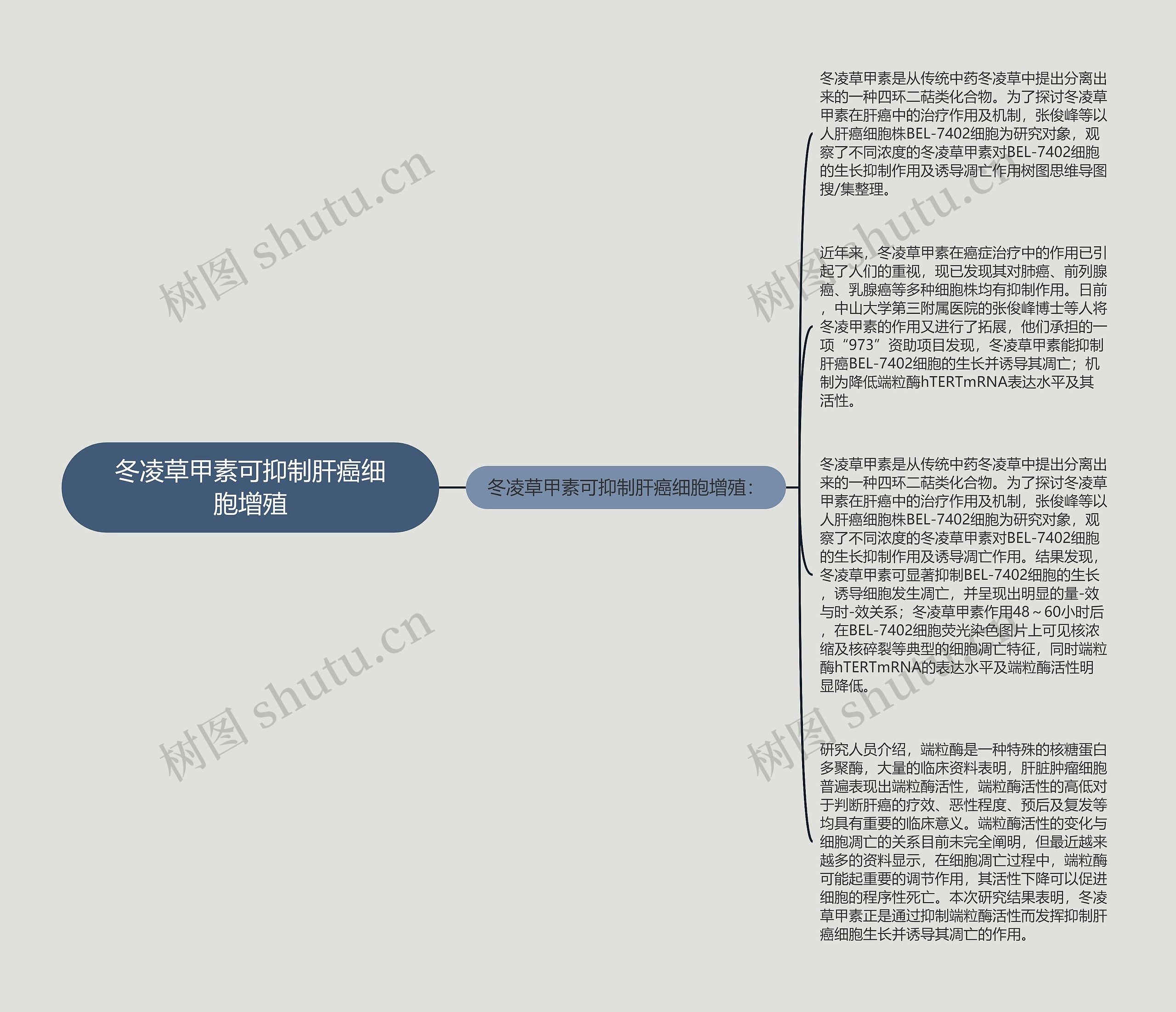 冬凌草甲素可抑制肝癌细胞增殖