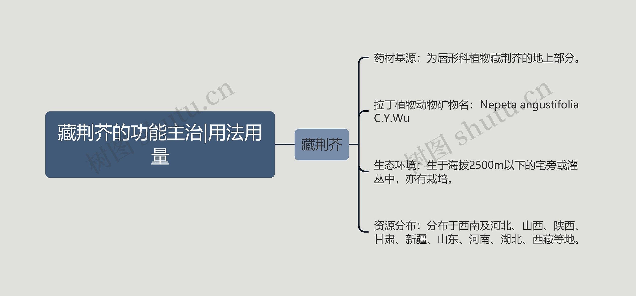 藏荆芥的功能主治|用法用量