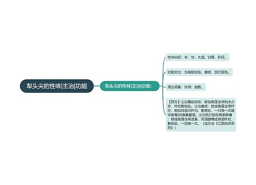 犁头尖的性味|主治|功能