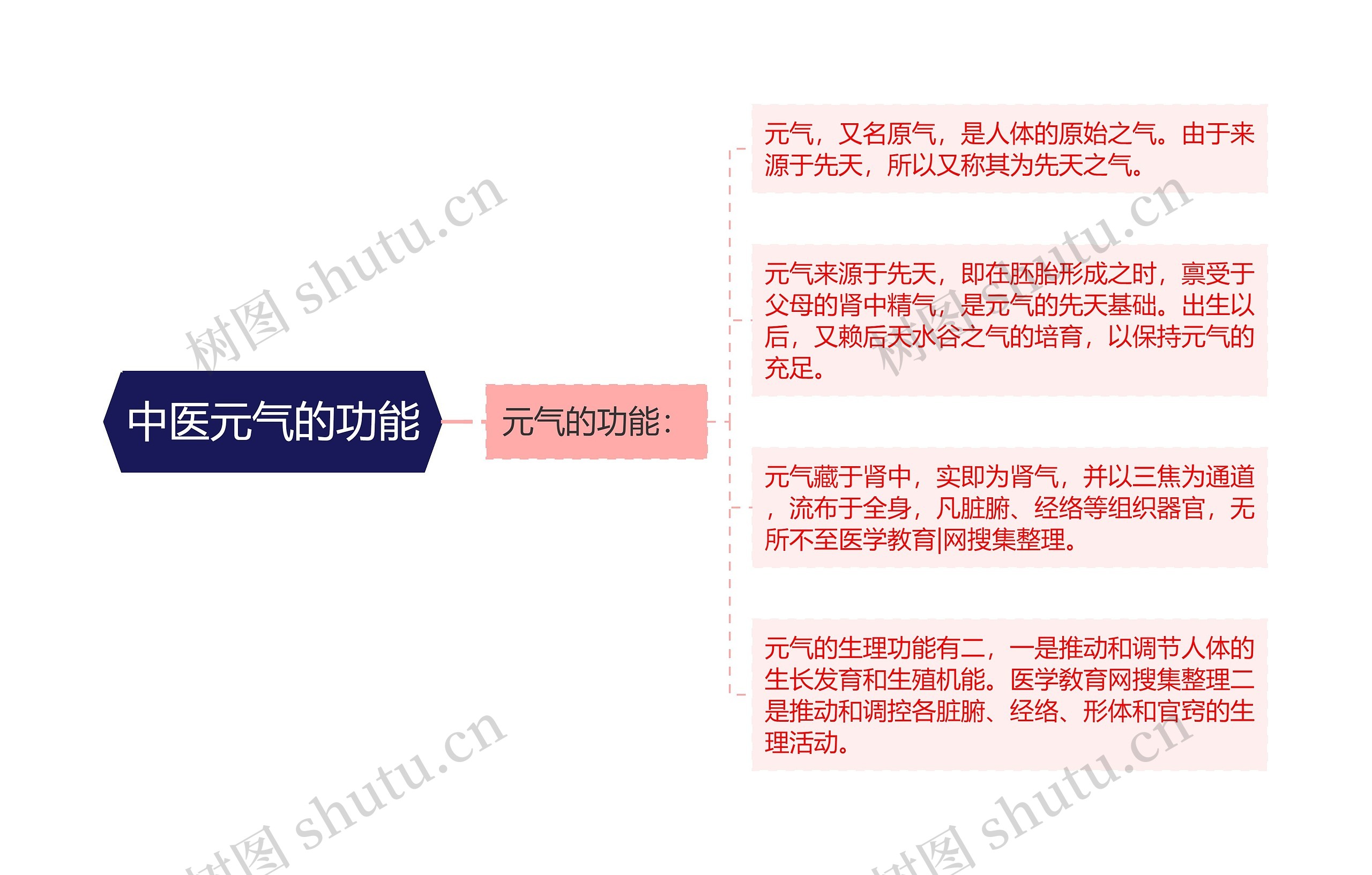 中医元气的功能思维导图