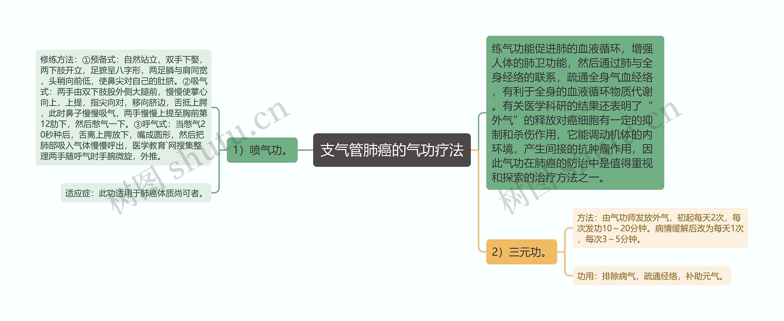 支气管肺癌的气功疗法思维导图