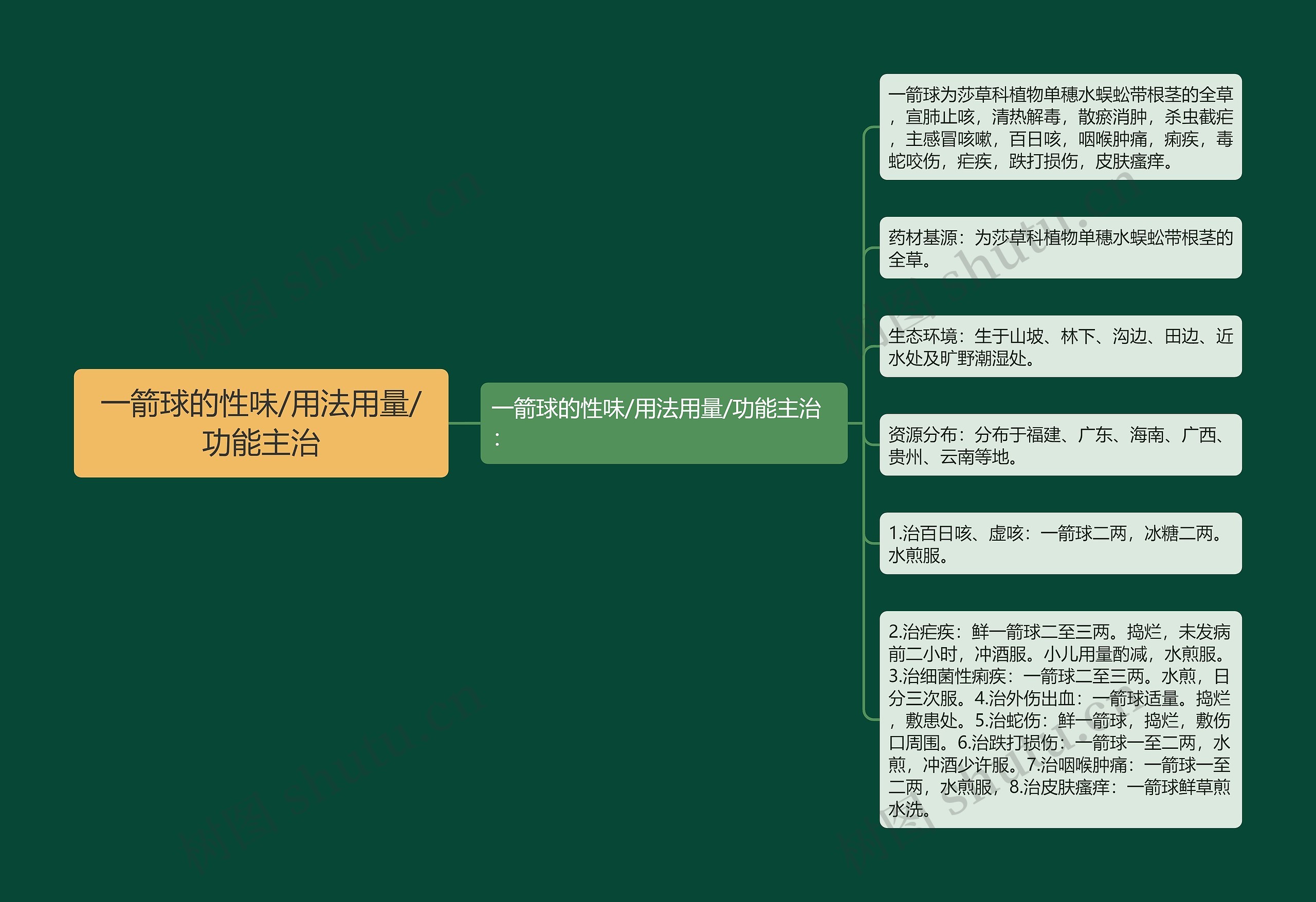 一箭球的性味/用法用量/功能主治