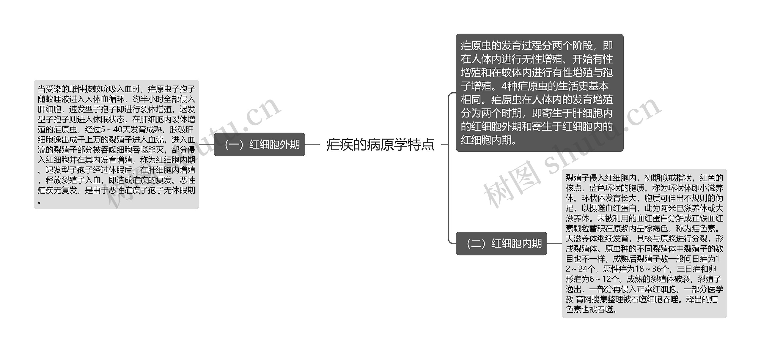 疟疾的病原学特点