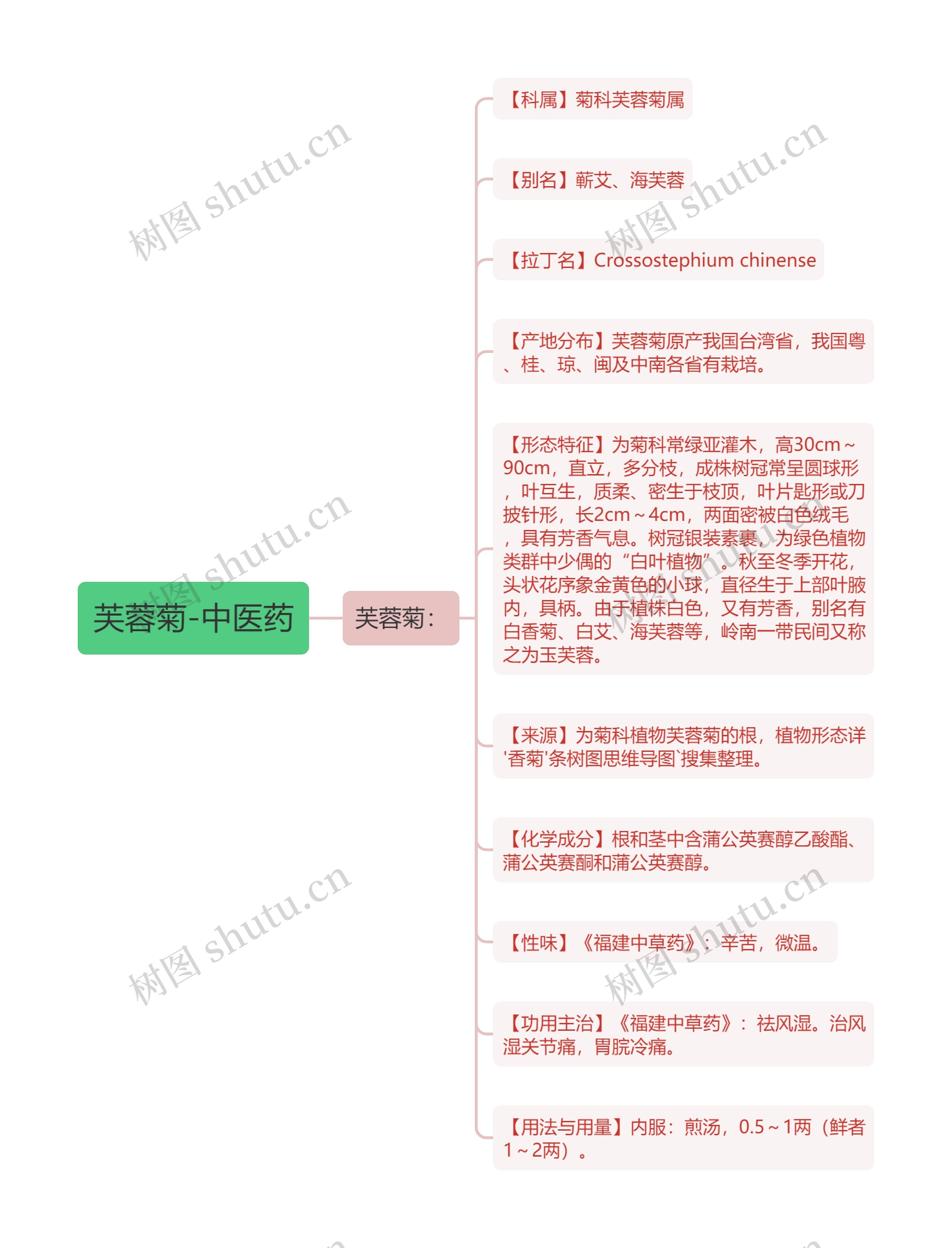 芙蓉菊-中医药思维导图