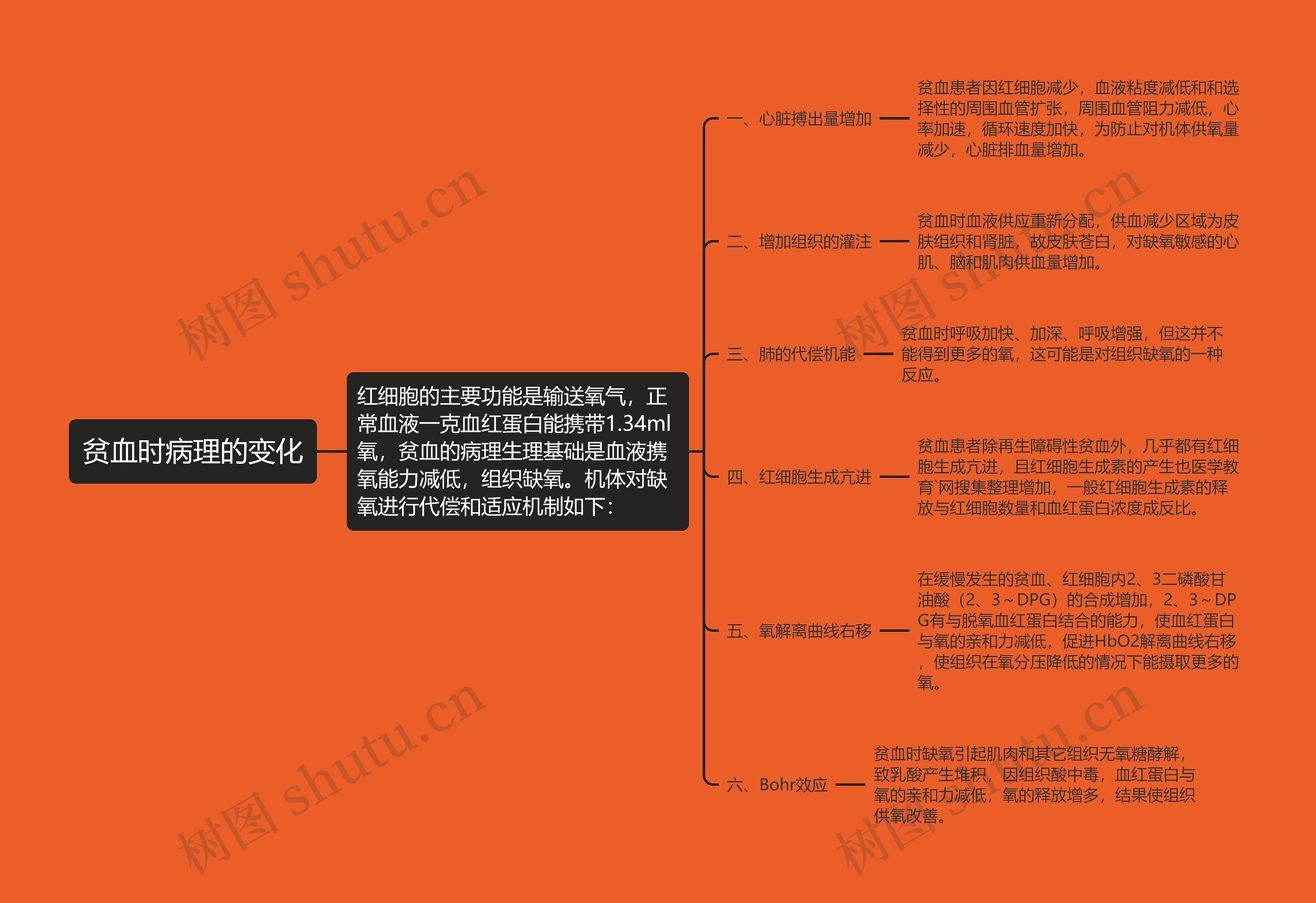 贫血时病理的变化