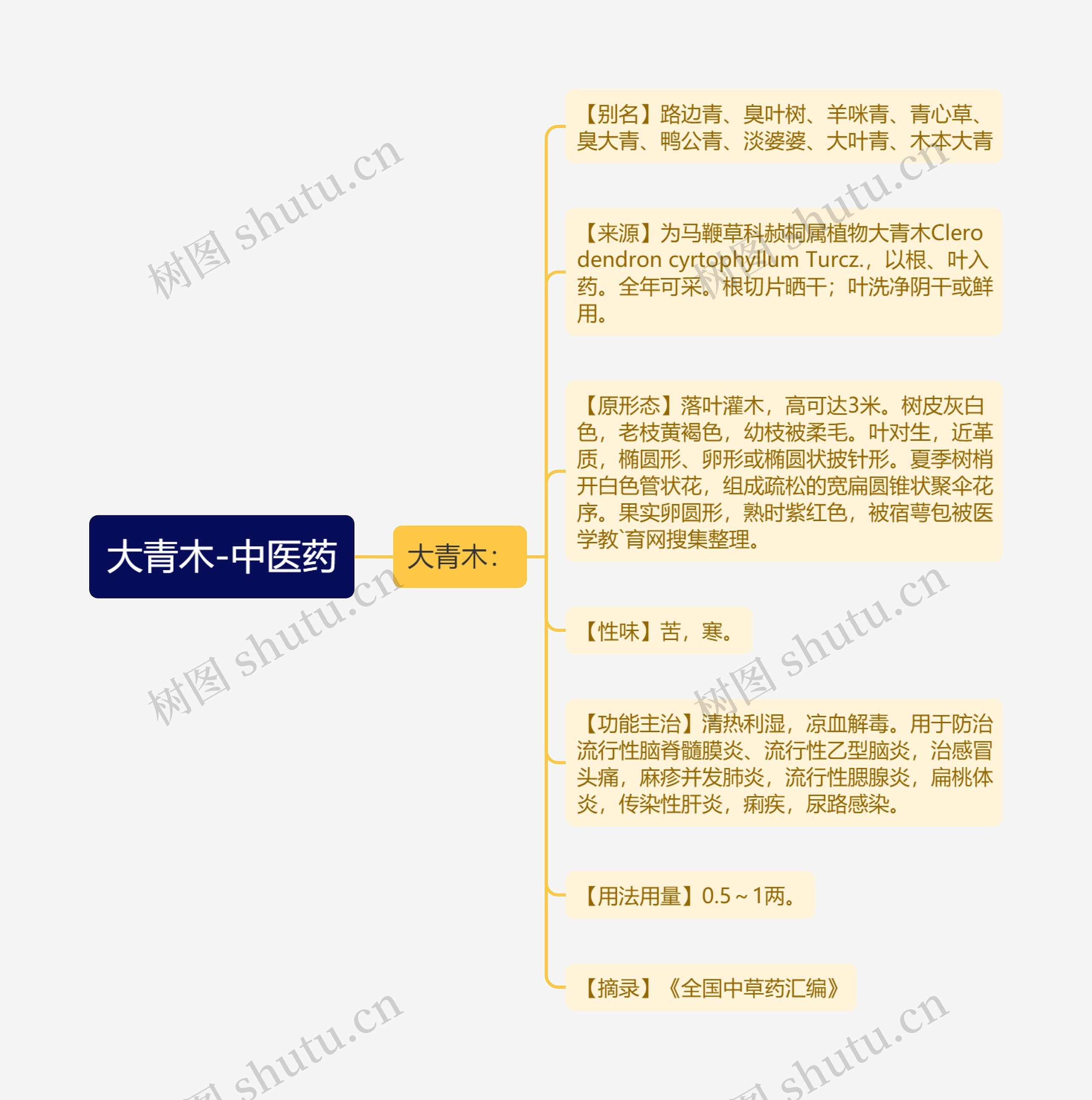 大青木-中医药 大青木-中医药