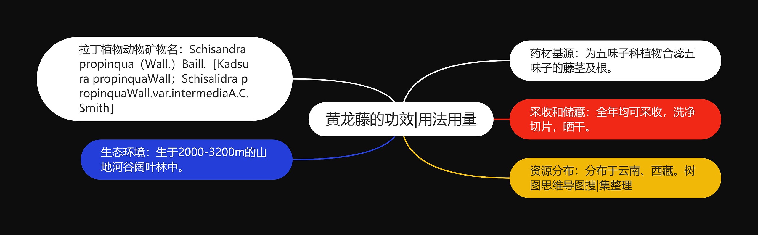 黄龙藤的功效|用法用量 黄龙藤的功效|用法用量