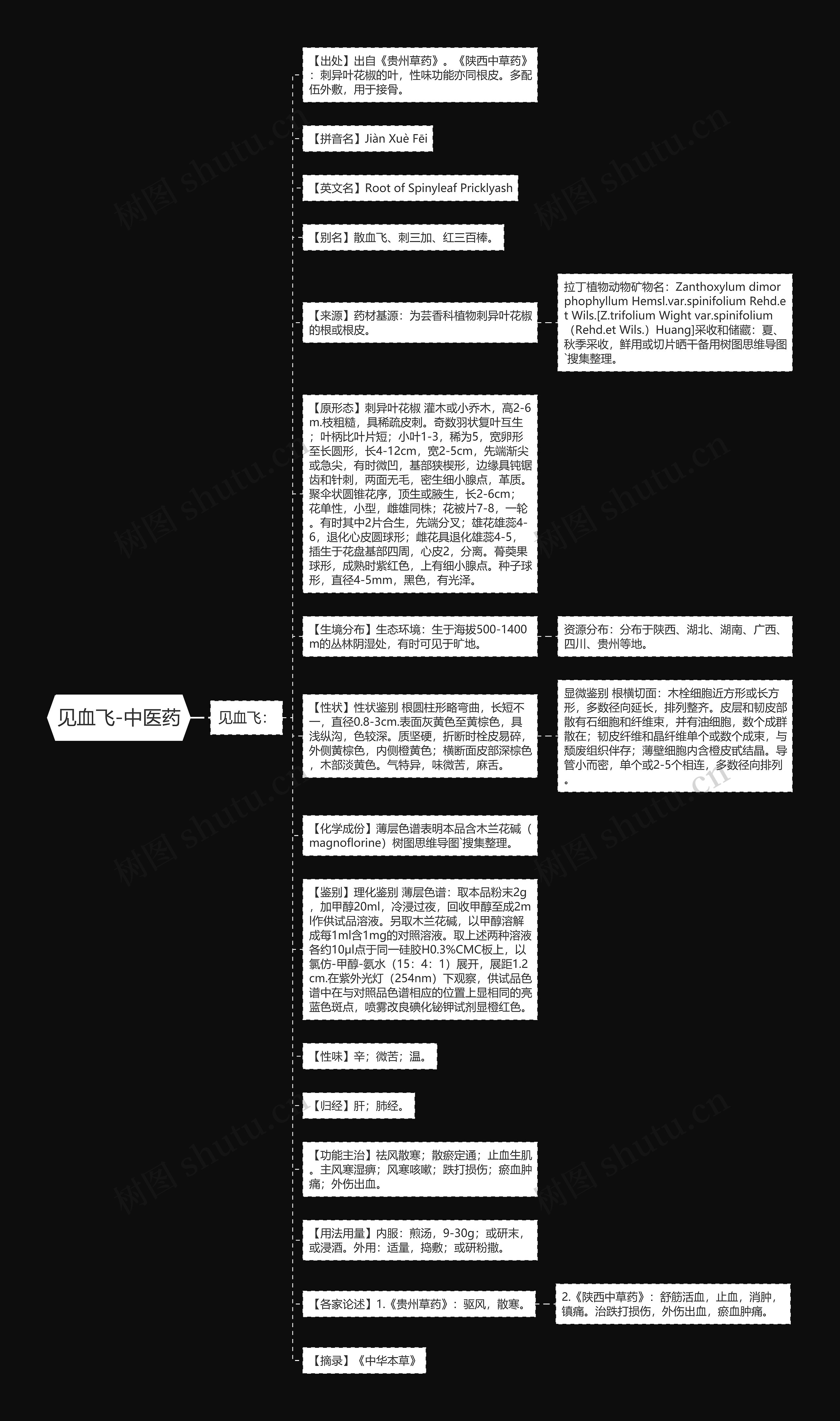 见血飞-中医药思维导图