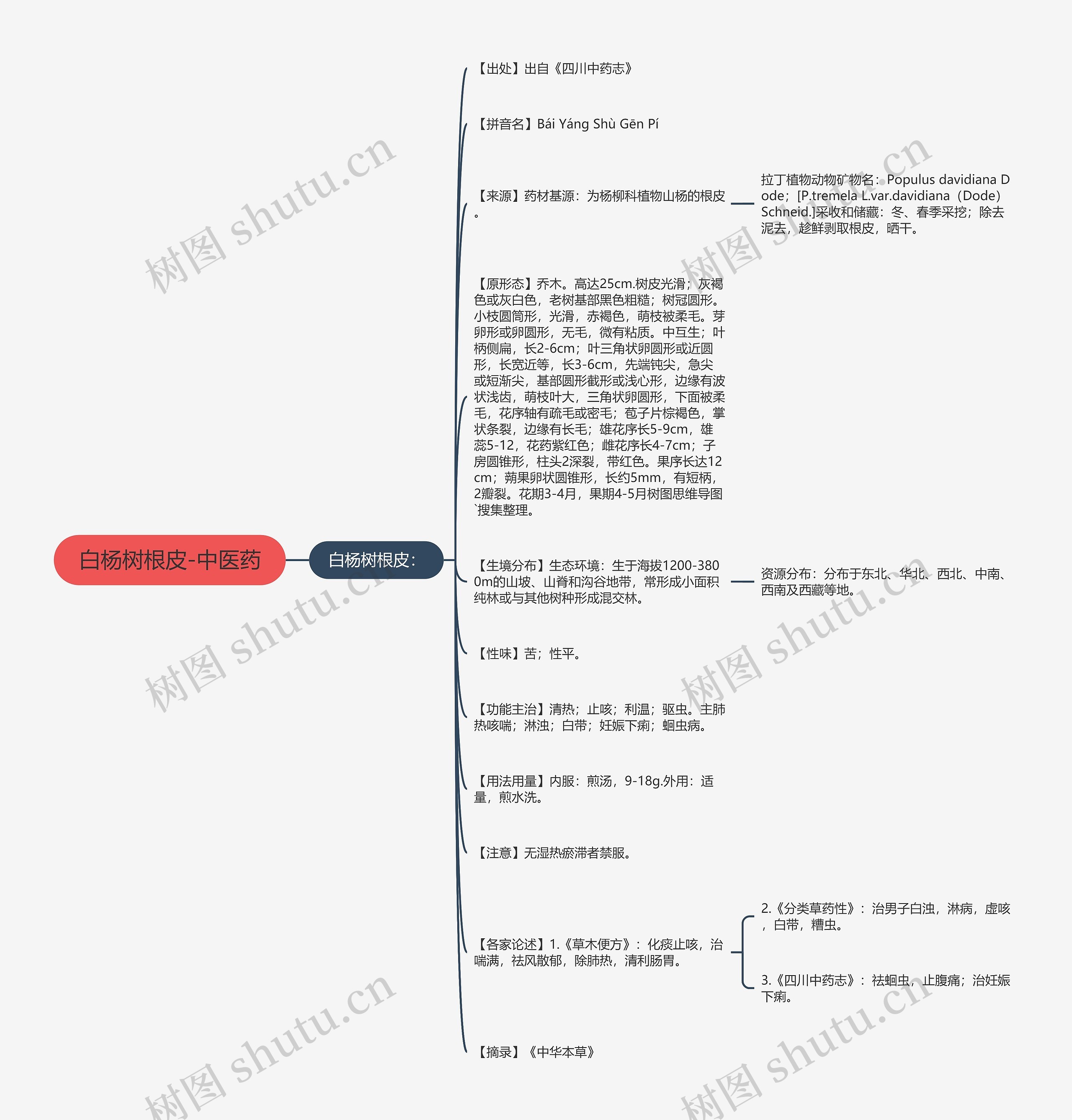 白杨树根皮-中医药