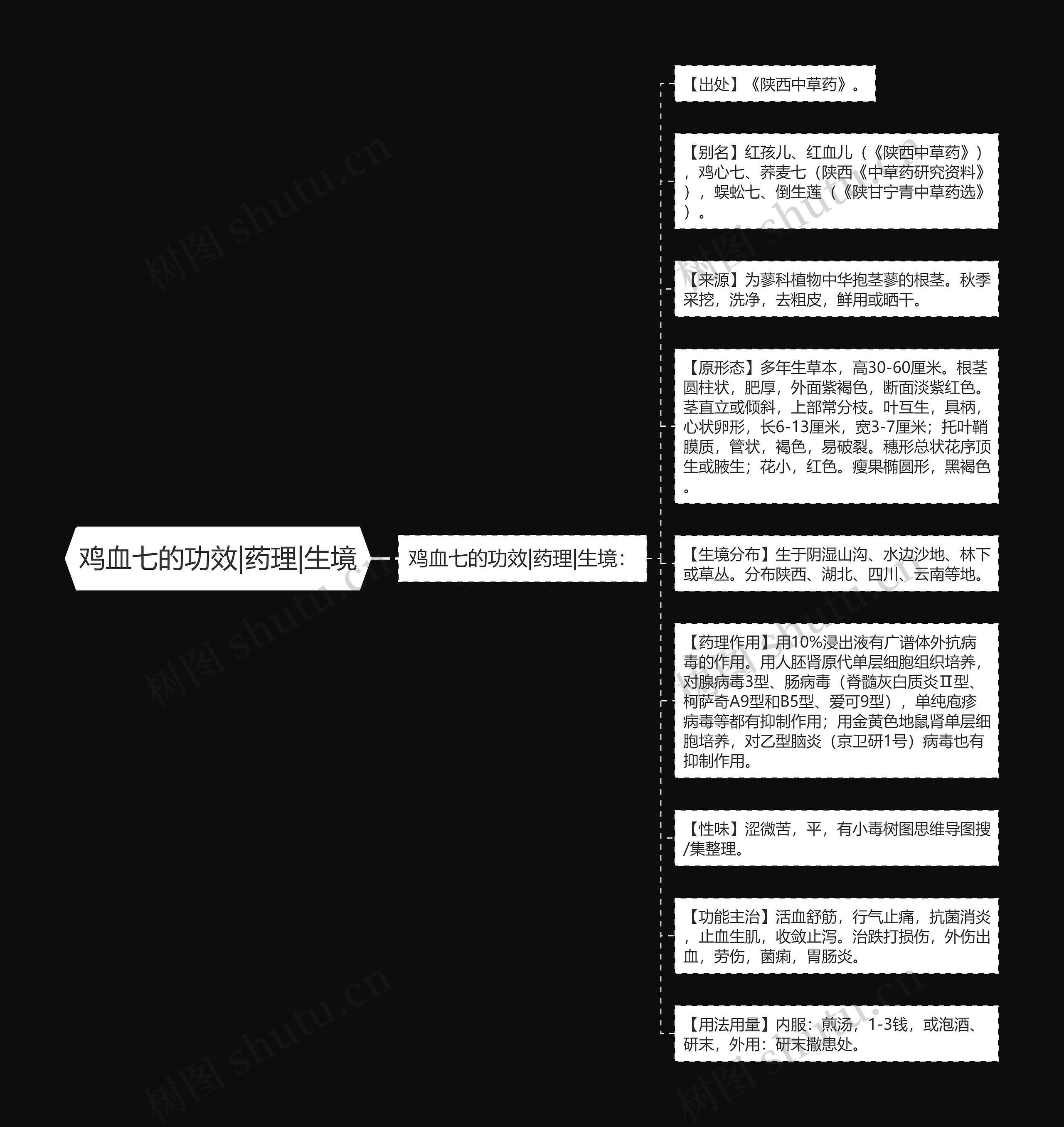 鸡血七的功效|药理|生境