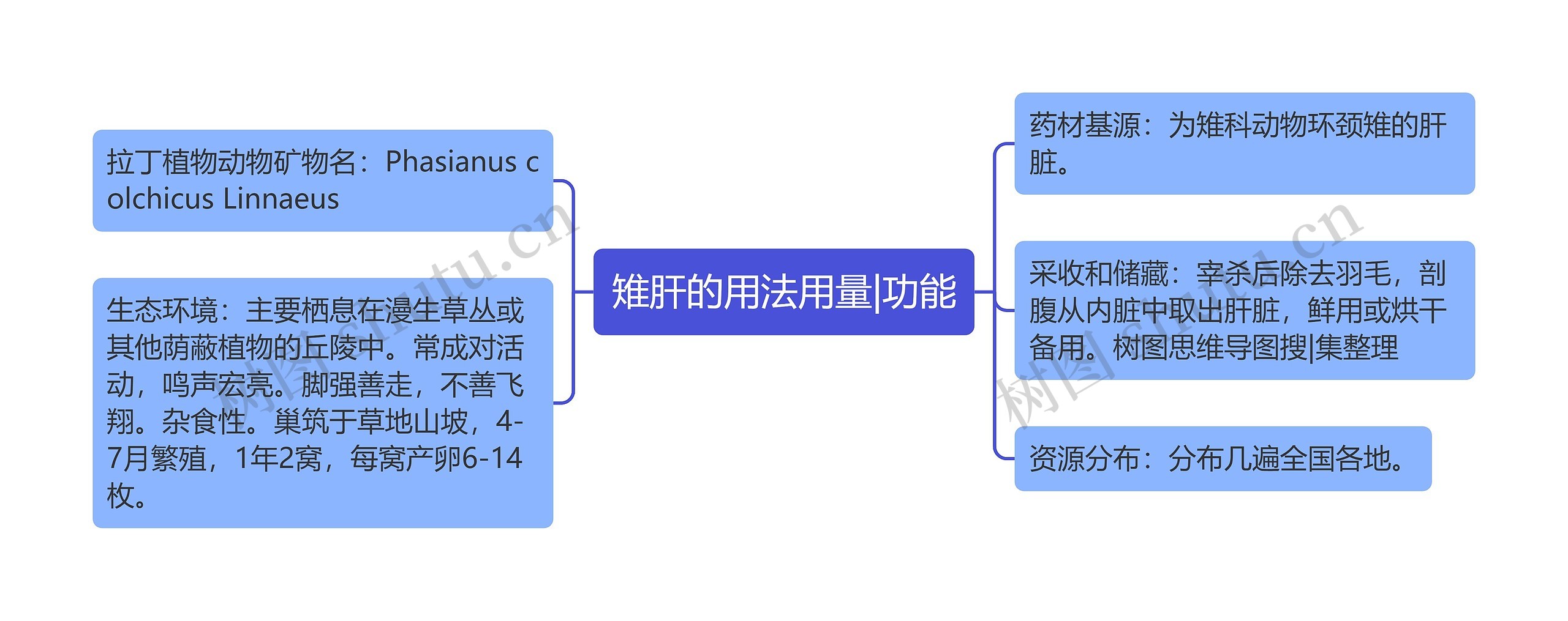 雉肝的用法用量|功能