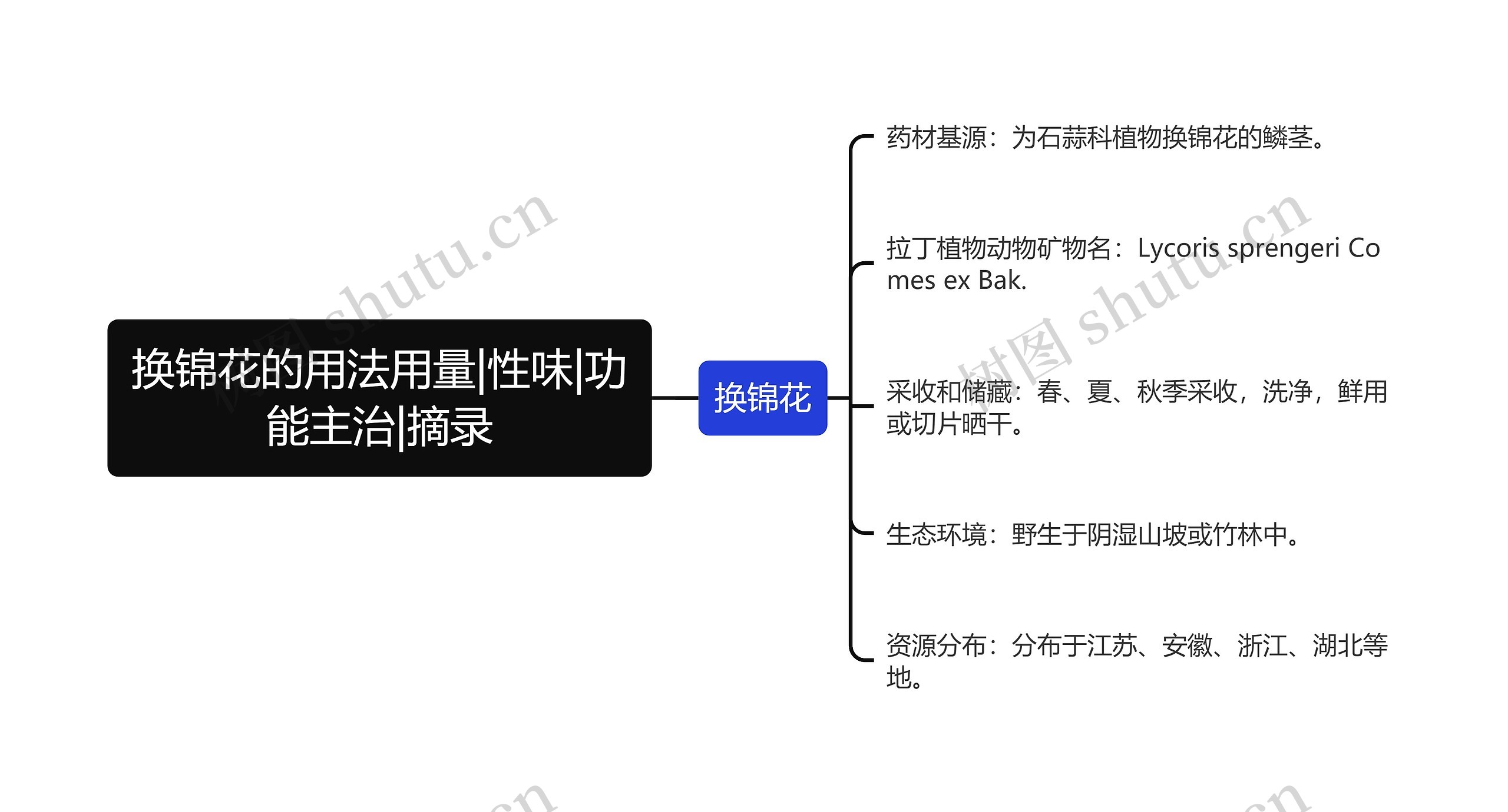 换锦花的用法用量|性味|功能主治|摘录思维导图