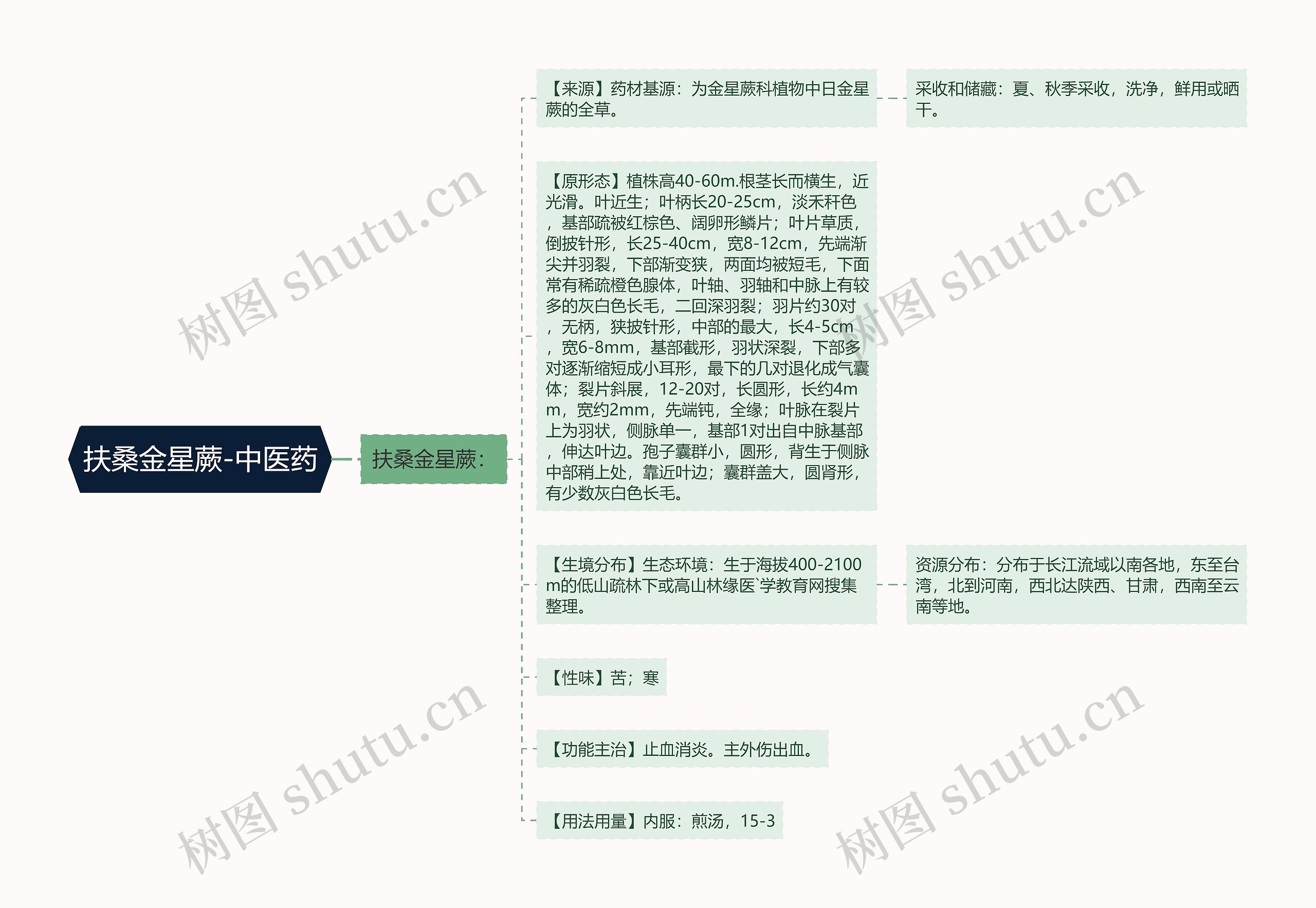 扶桑金星蕨-中医药思维导图