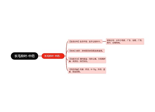 长毛柃叶-中药