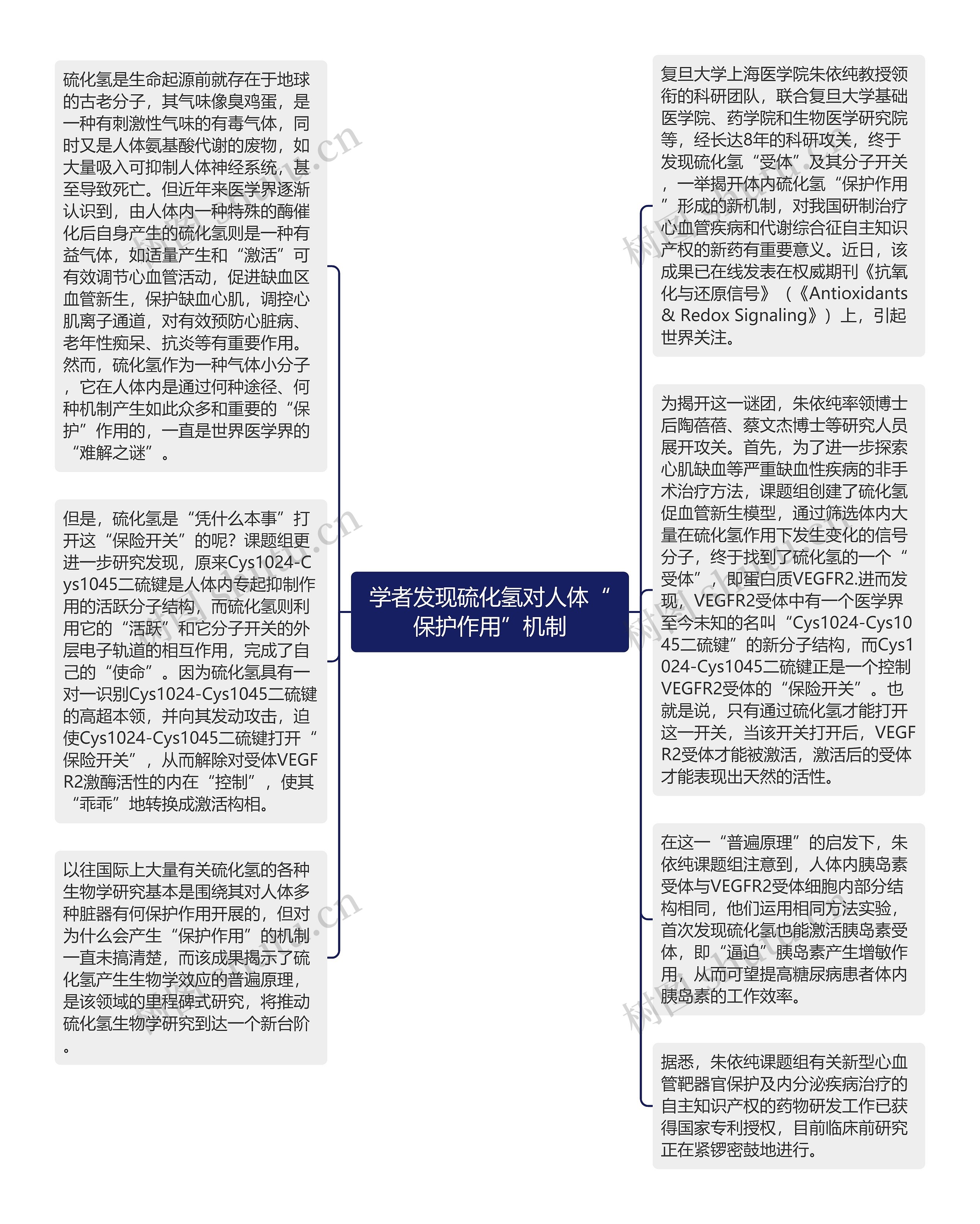 学者发现硫化氢对人体“保护作用”机制