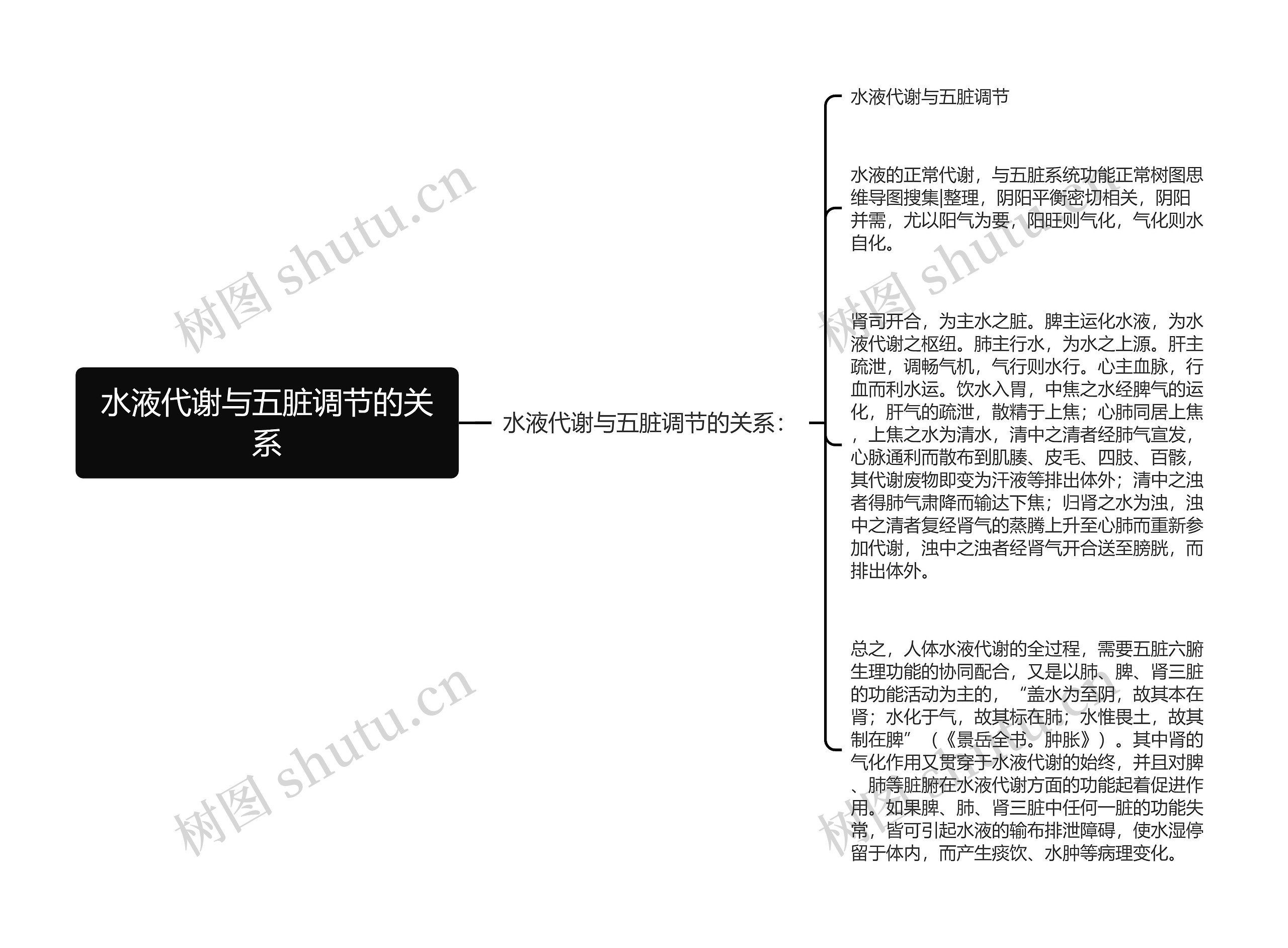 水液代谢与五脏调节的关系