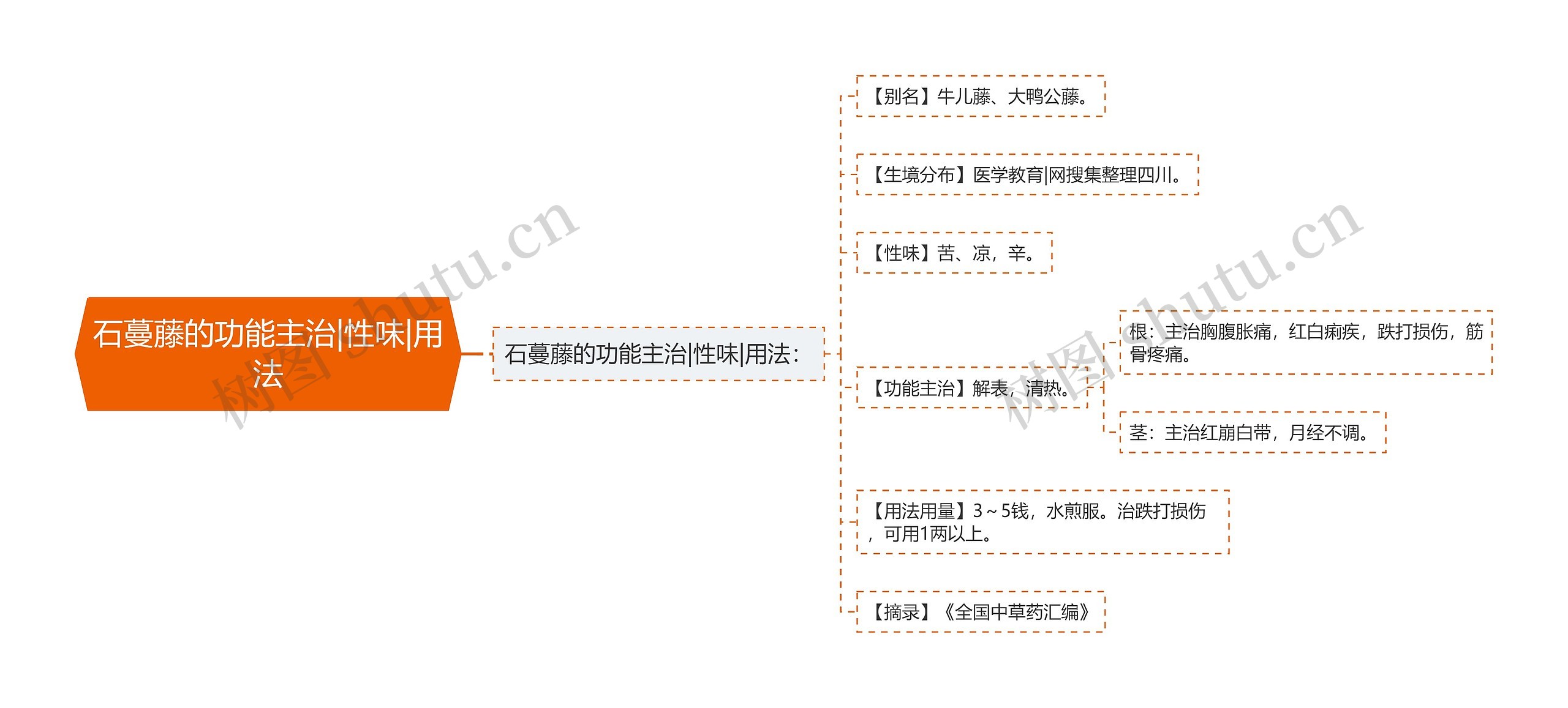 石蔓藤的功能主治|性味|用法 石蔓藤的功能主治|性味|用法