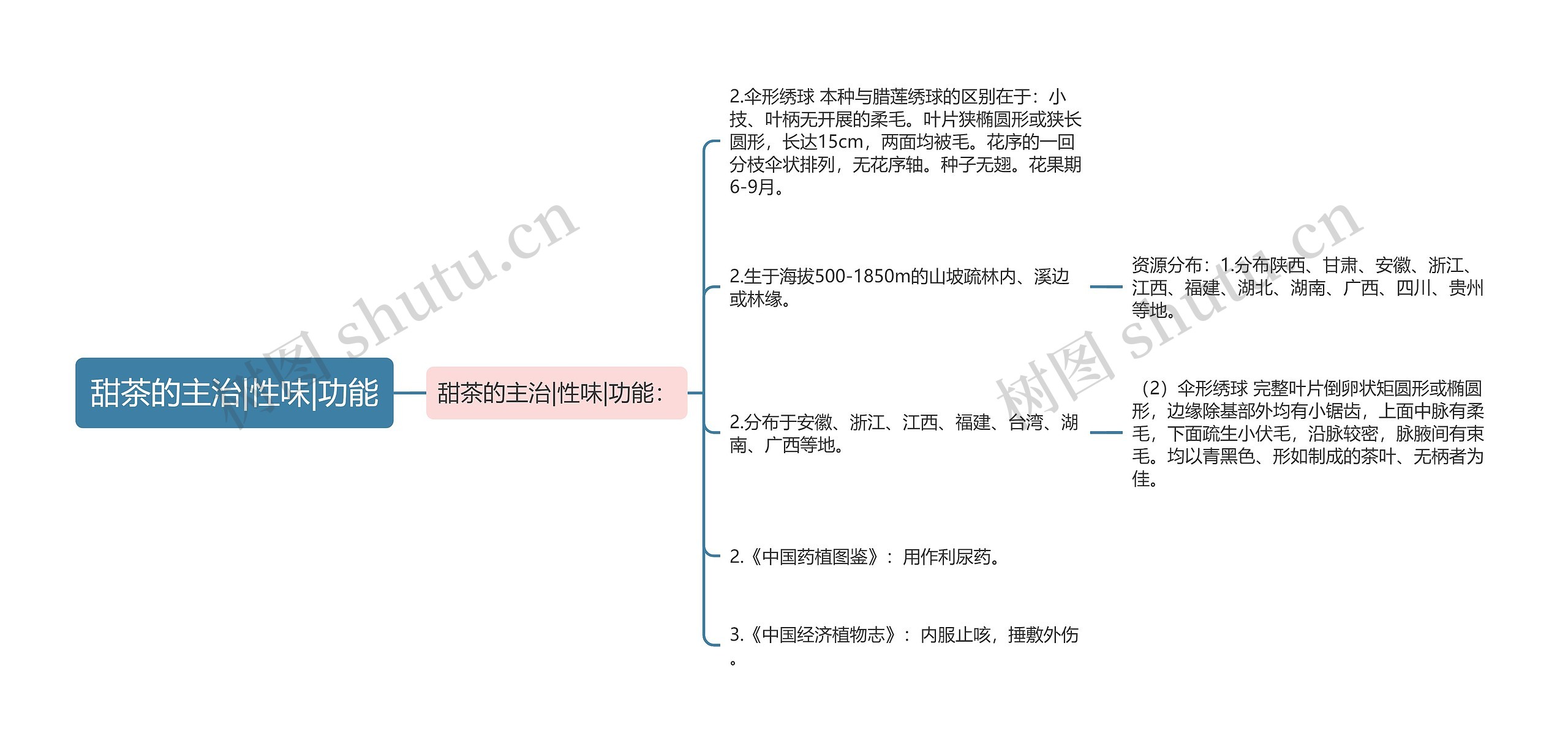 甜茶的主治|性味|功能思维导图