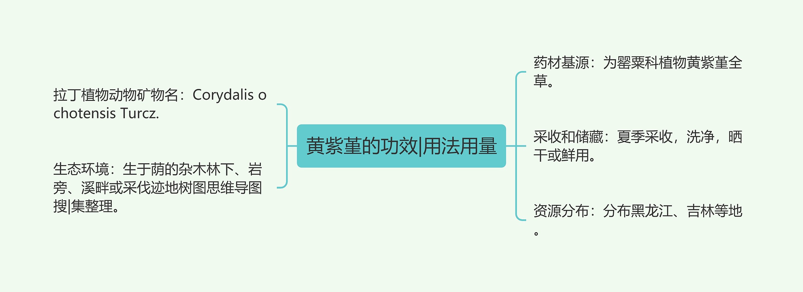 黄紫堇的功效|用法用量思维导图