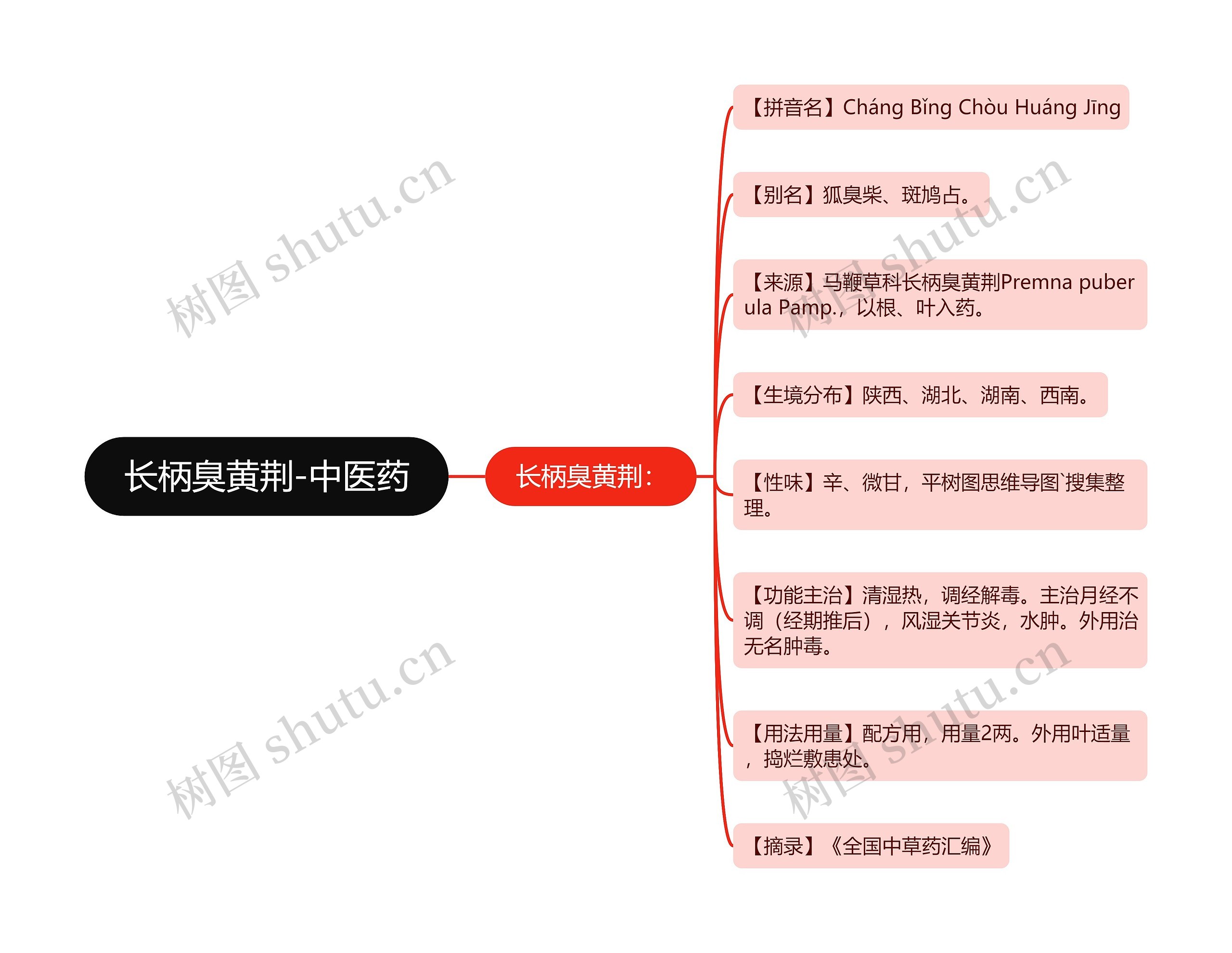 长柄臭黄荆-中医药思维导图