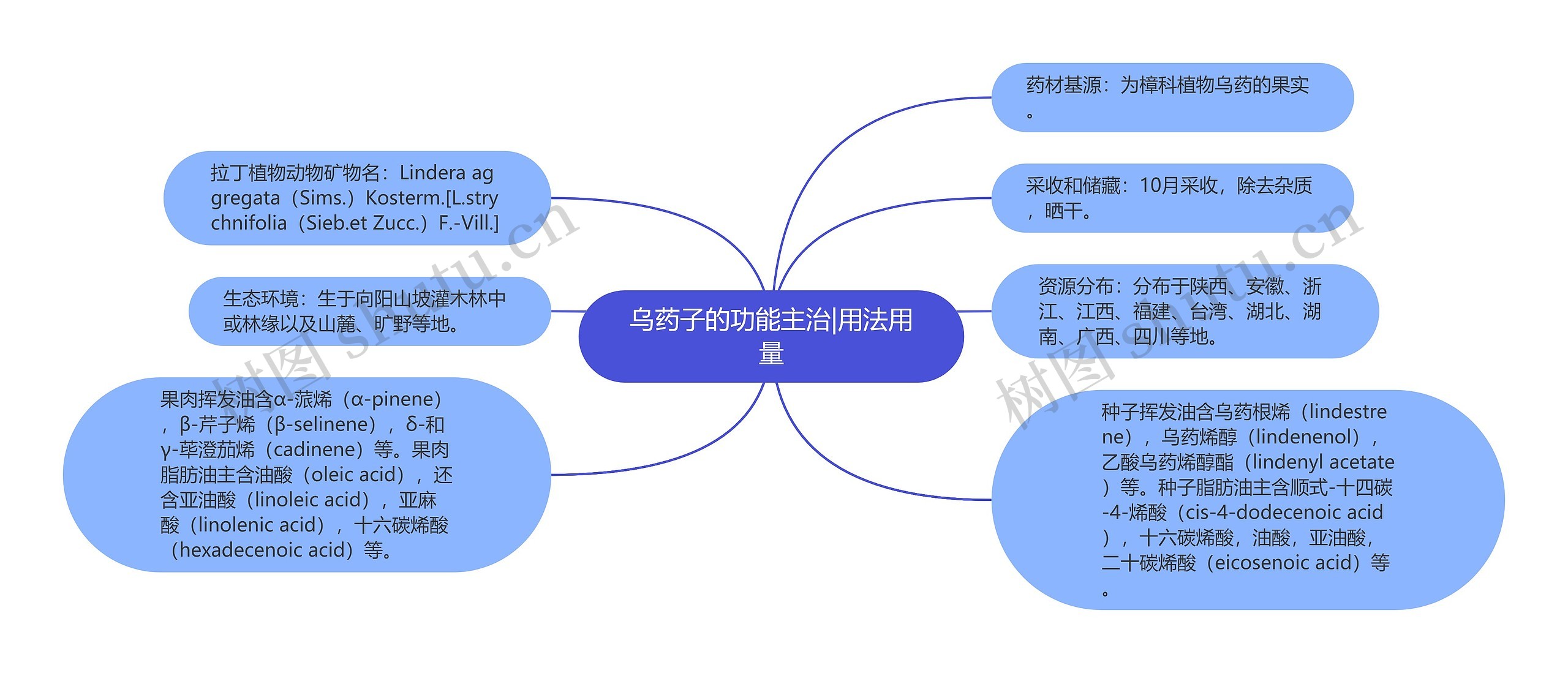 乌药子的功能主治|用法用量思维导图