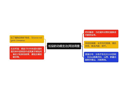 松鼠的功能主治|用法用量